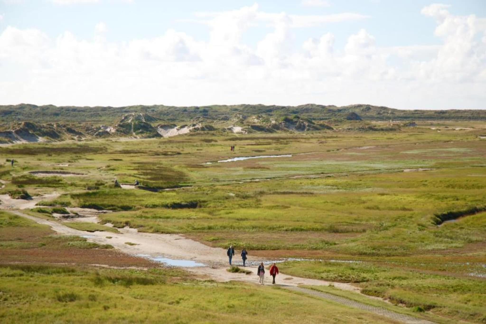 't Hoogelandt 5-Areas summer 20km