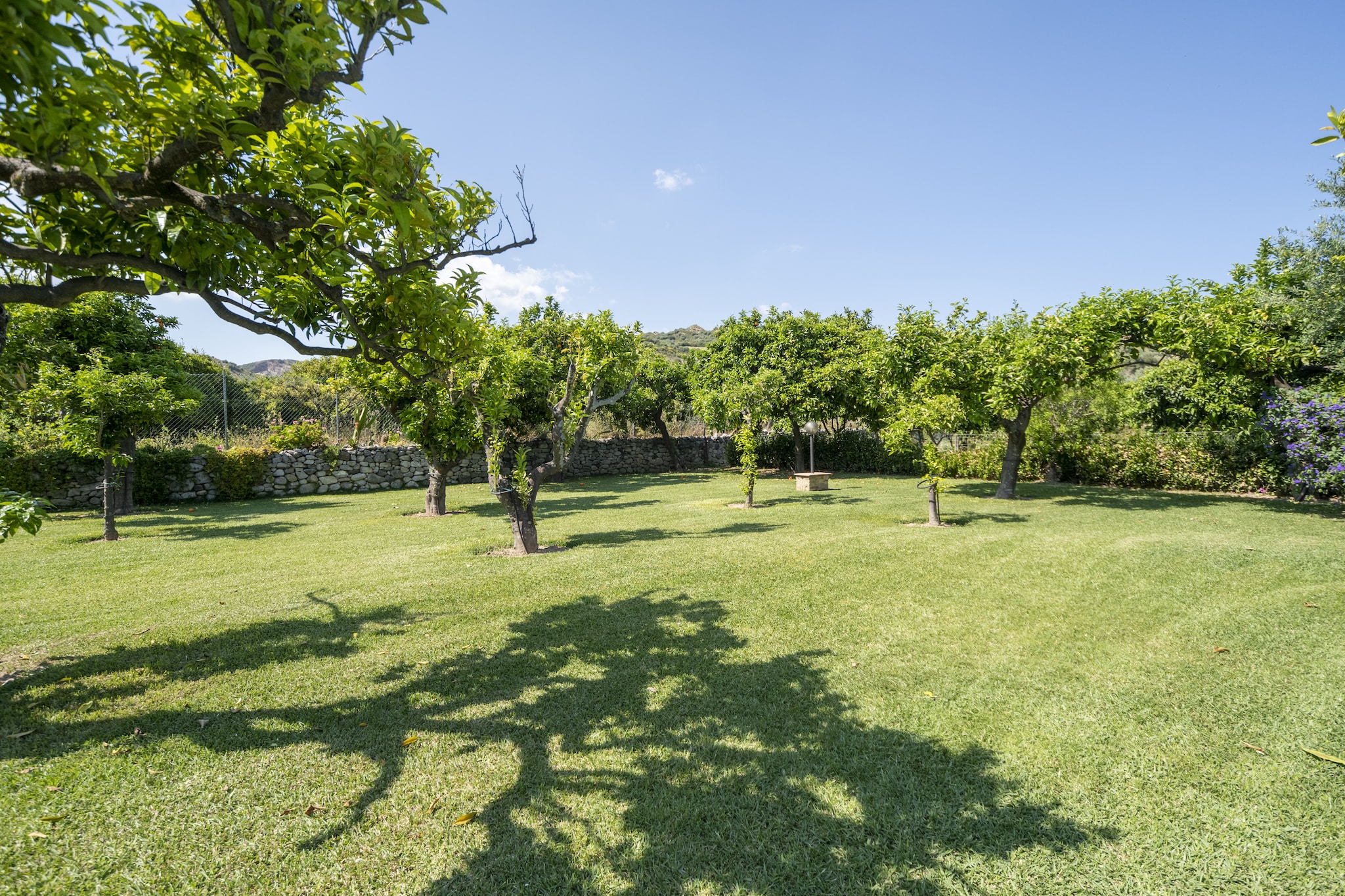 Garden Summer