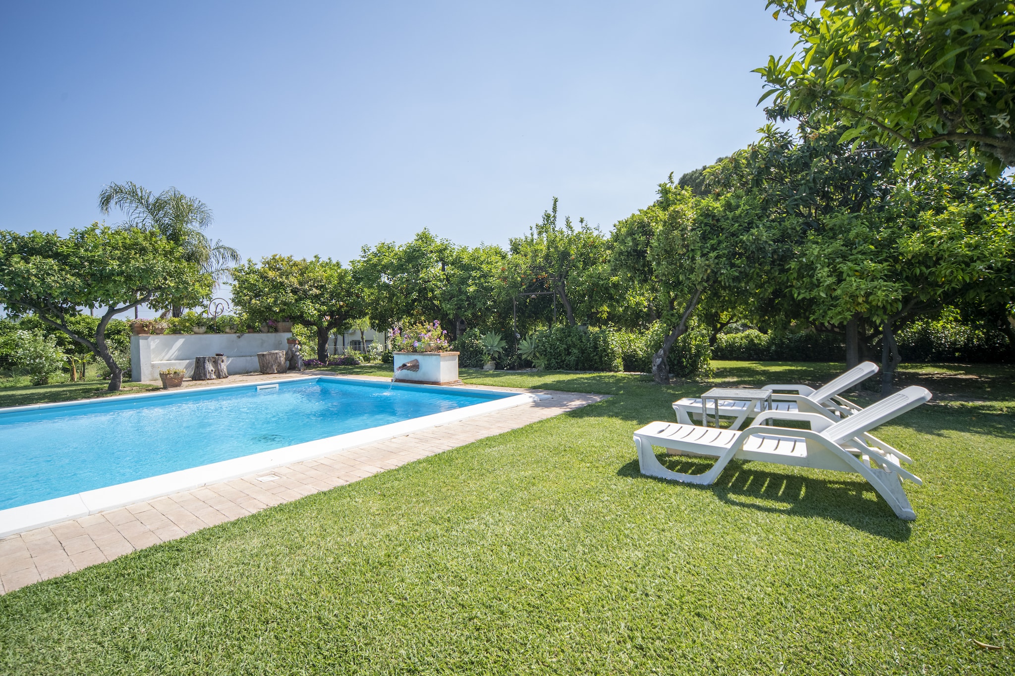 Pool Of House