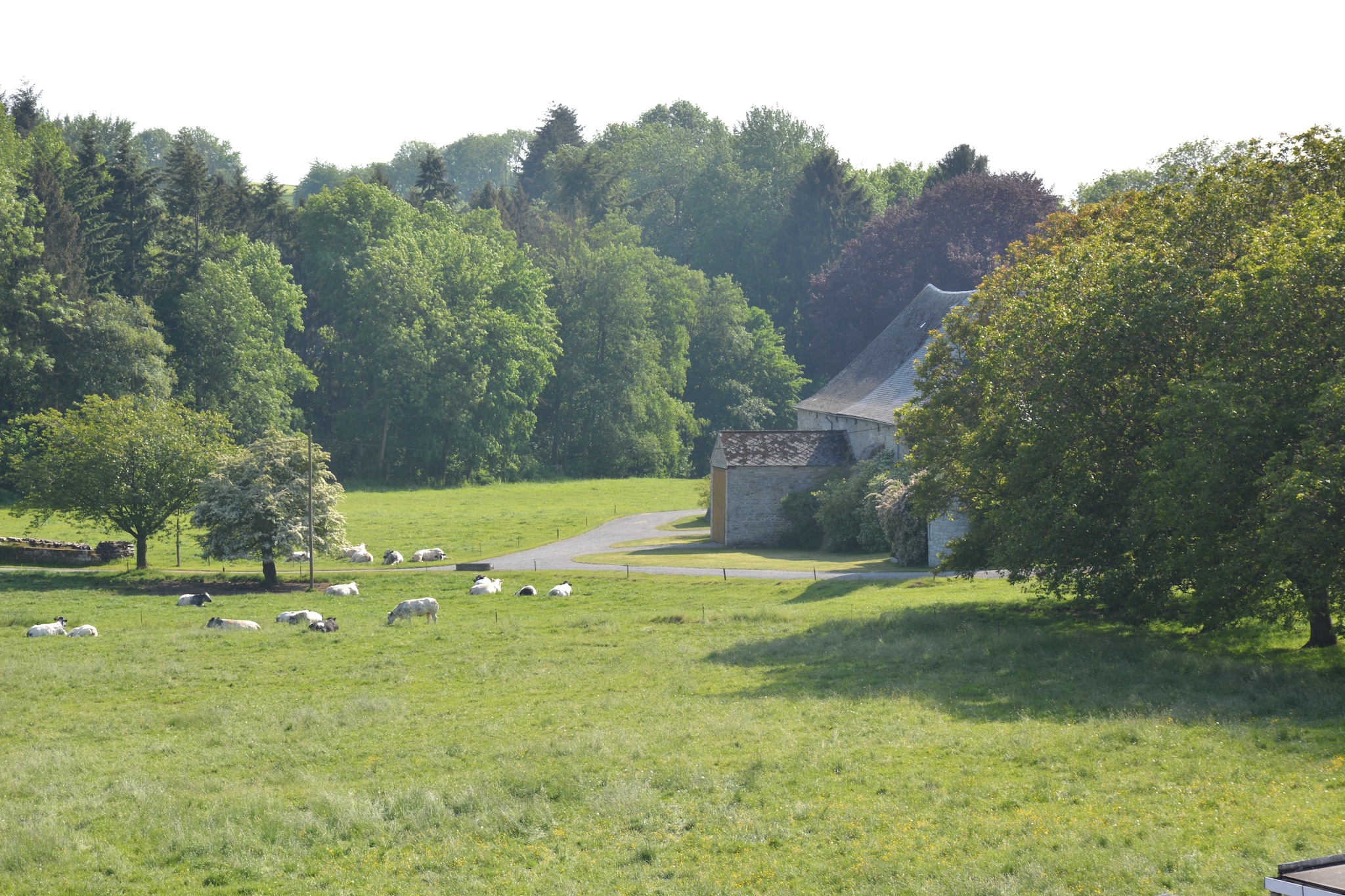 Enjoyquare 18-View summer