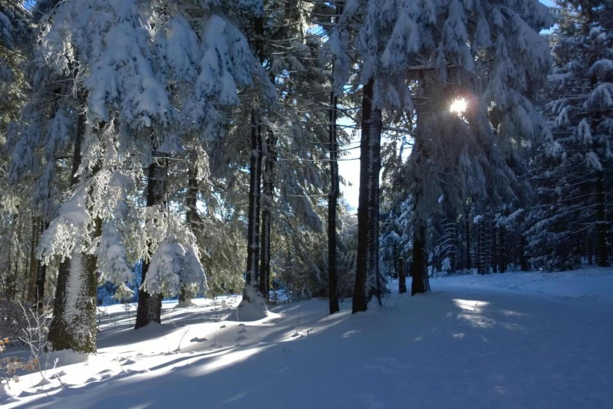 Ferienhaus Rother-Gebied winter 5km