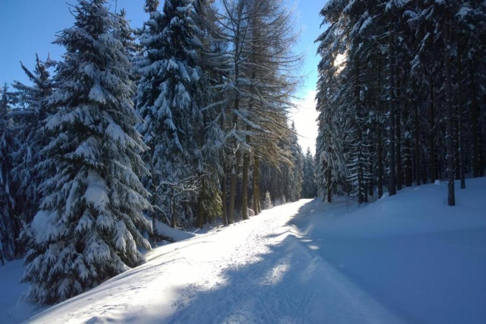 Ferienhaus Rother-Gebied winter 5km