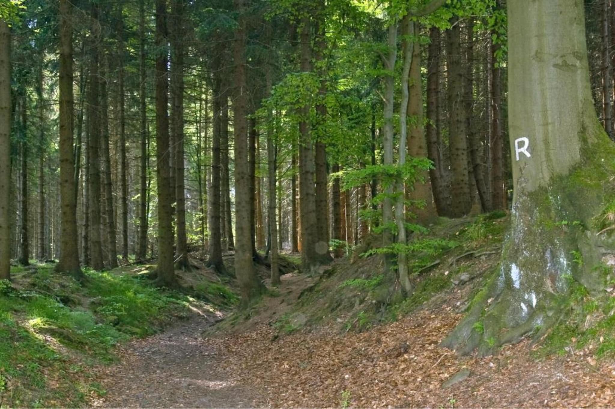 Ferienhaus Rother-Gebieden zomer 5km