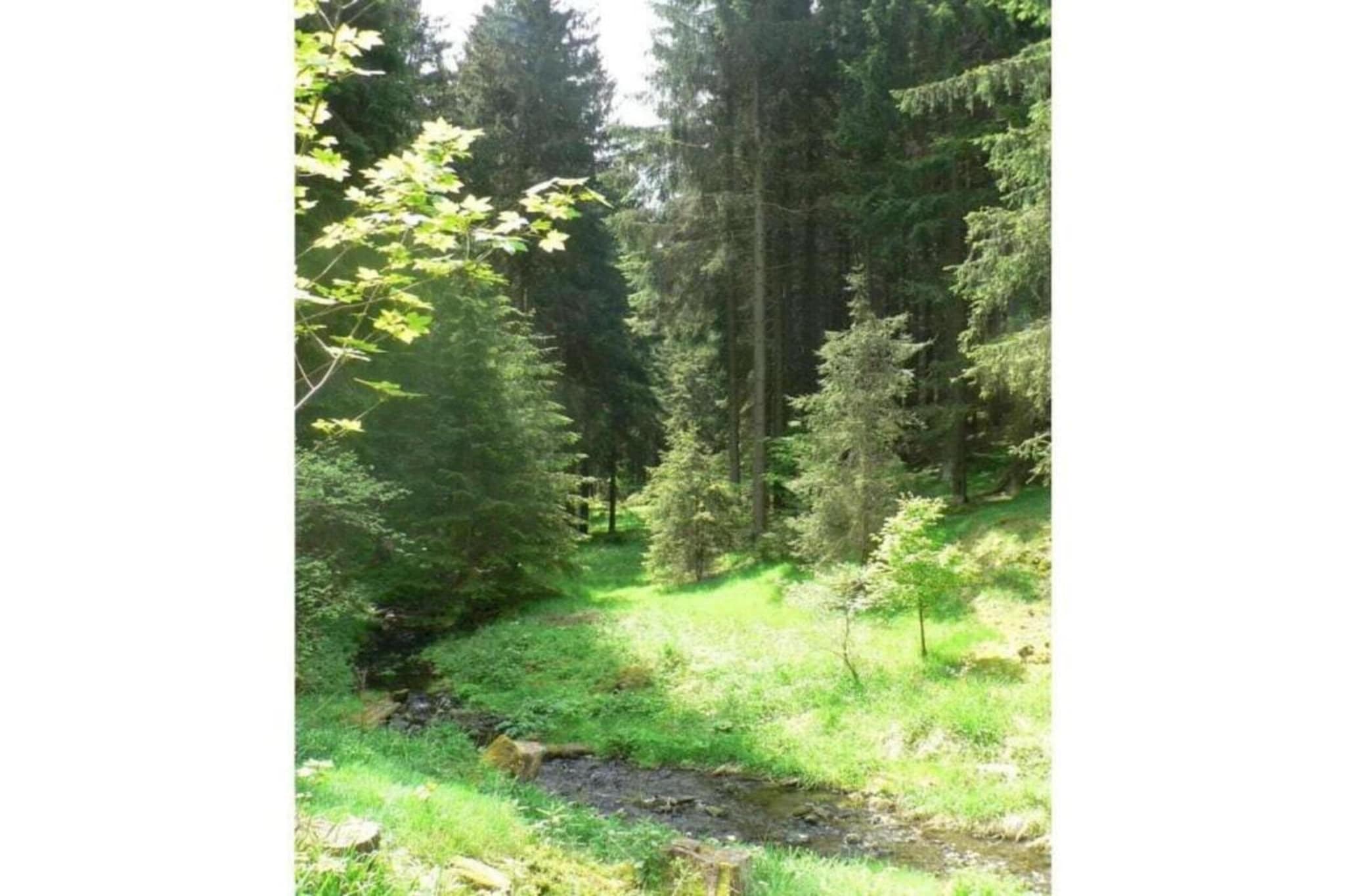 Ferienhaus Rother-Gebieden zomer 5km