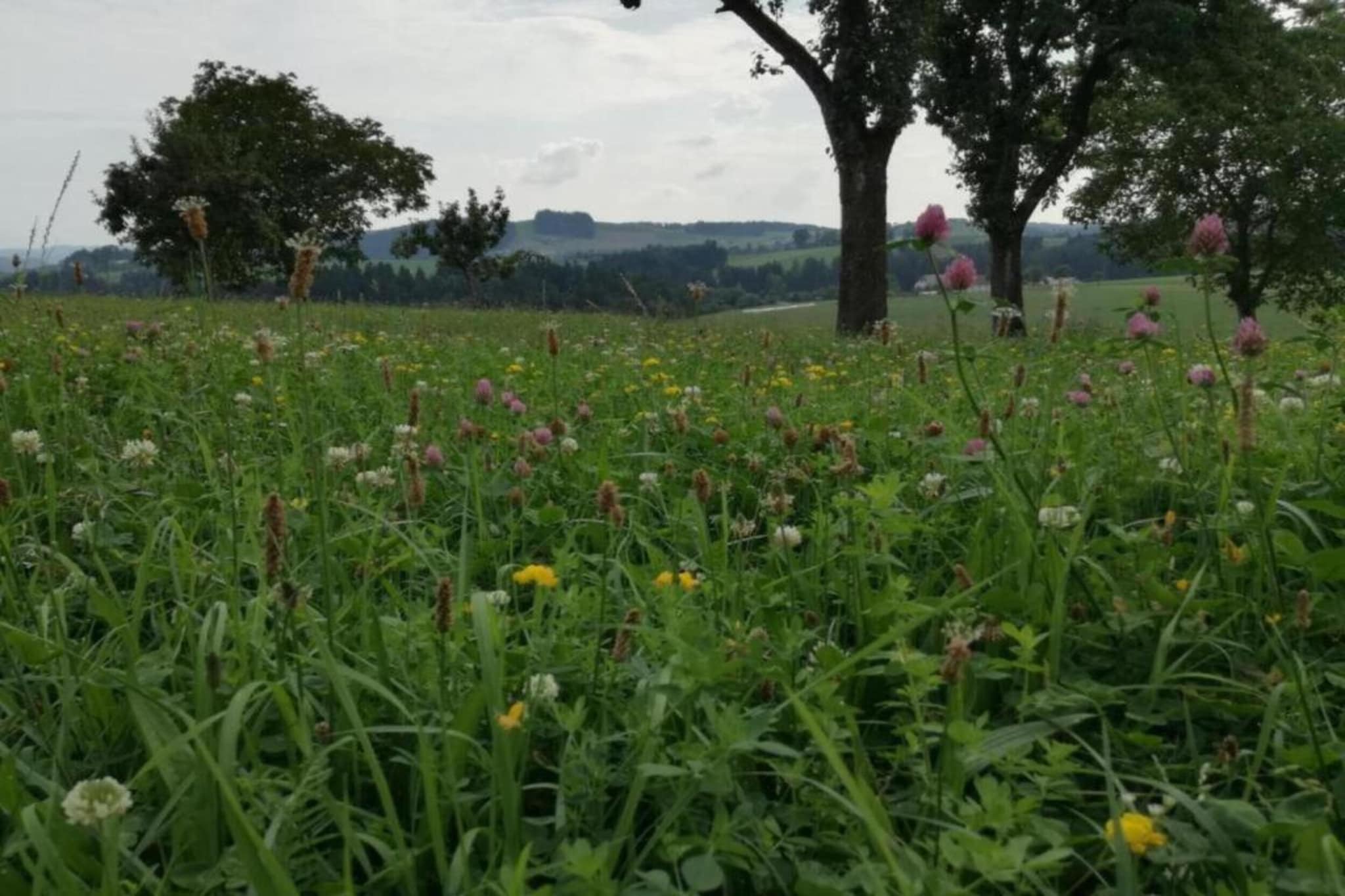 Ferienhaus Rother-Gebieden zomer 5km