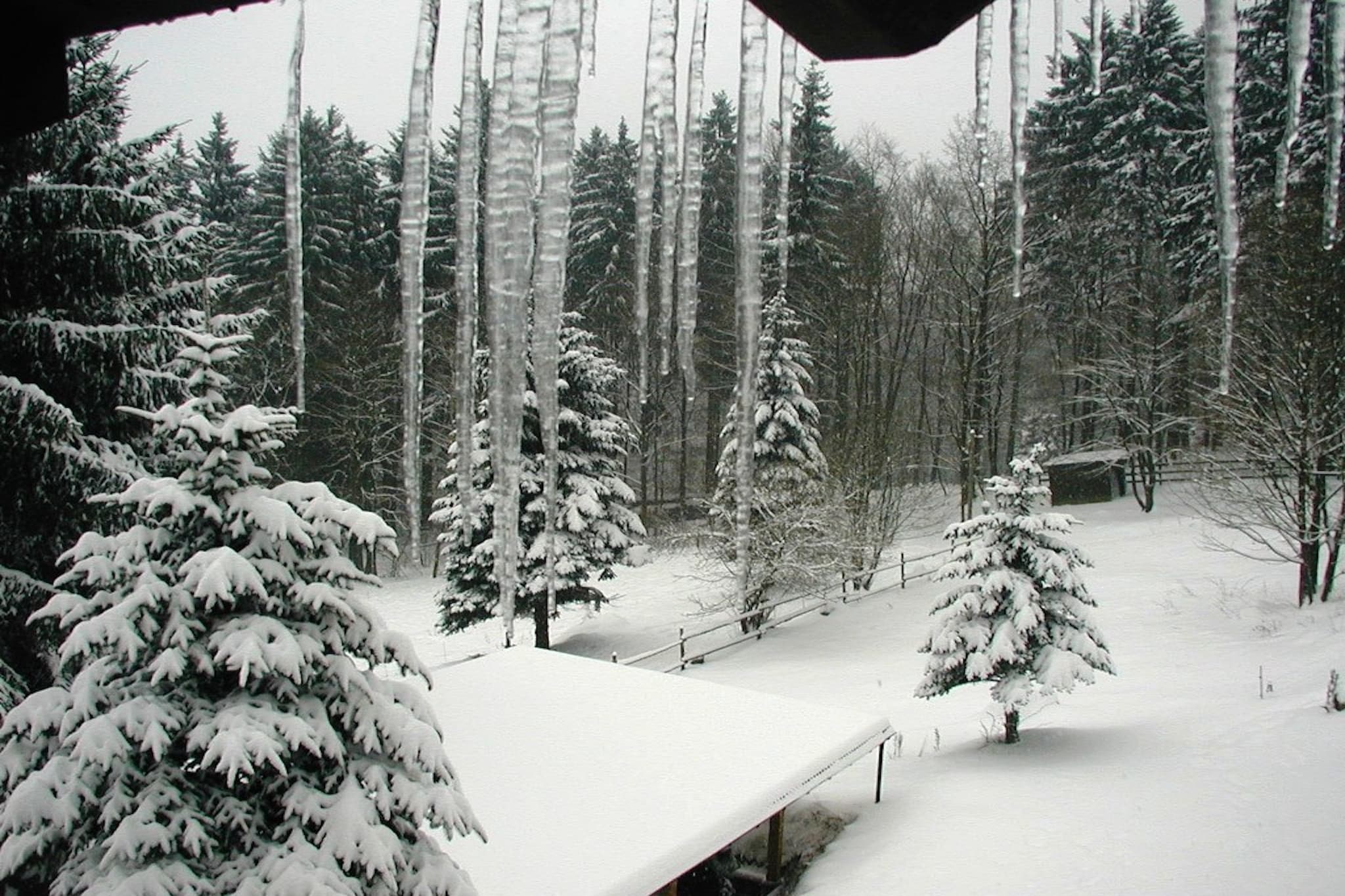 Ferienparadies am Rennweg-View winter