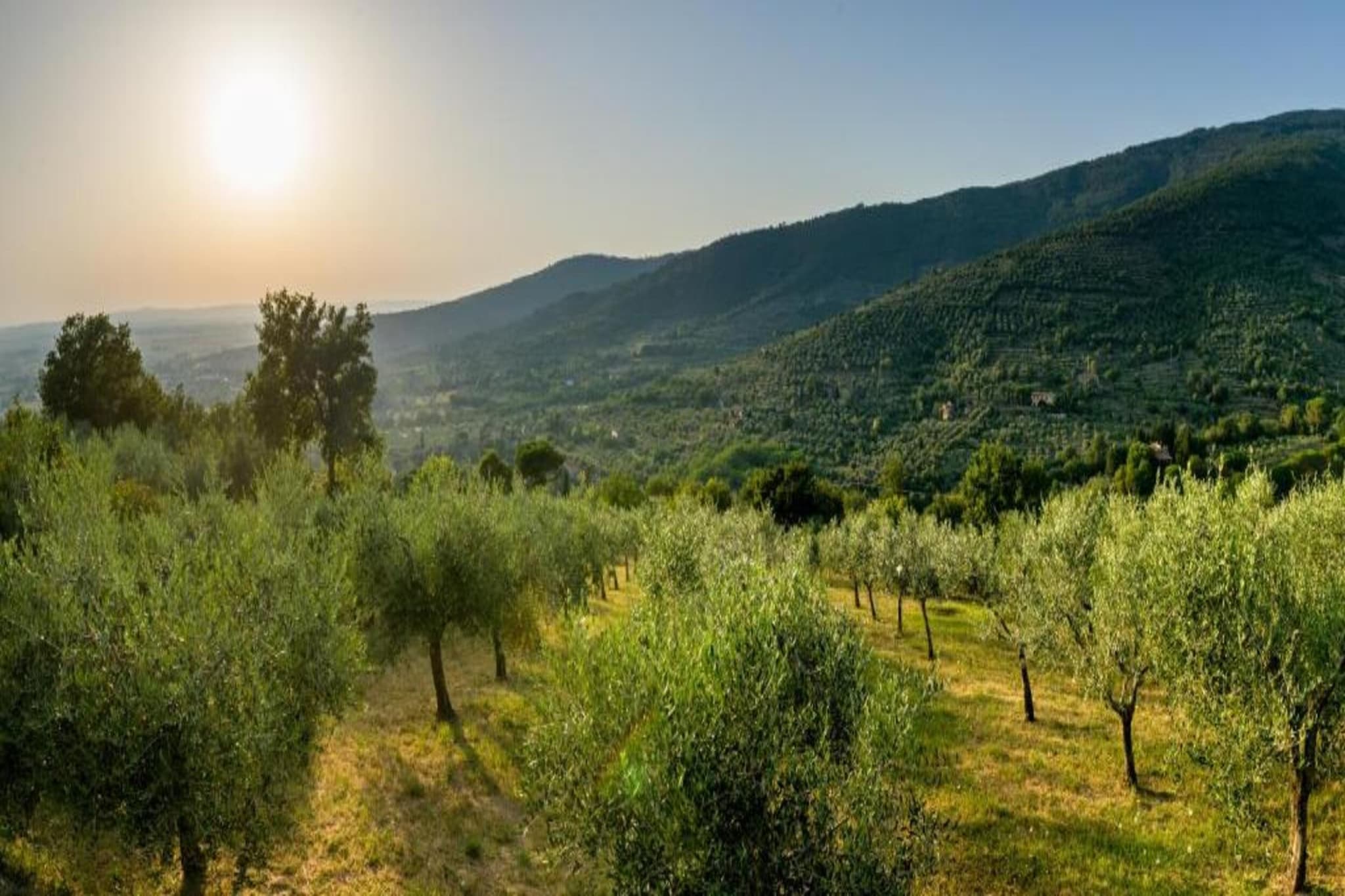 Villa Palazzone-Gebieden zomer 5km