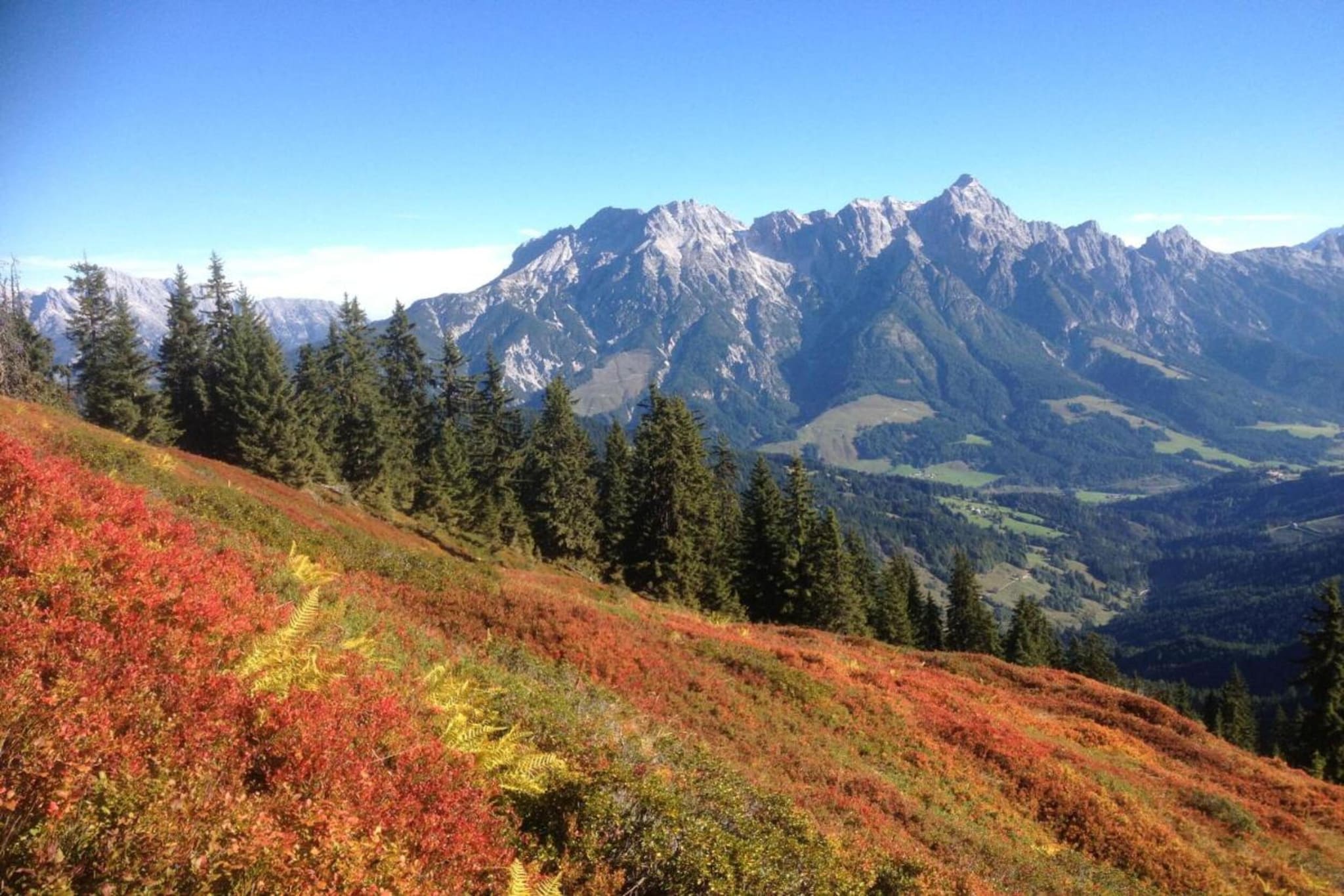 Alpine Lodge 1-Gebieden zomer 20km