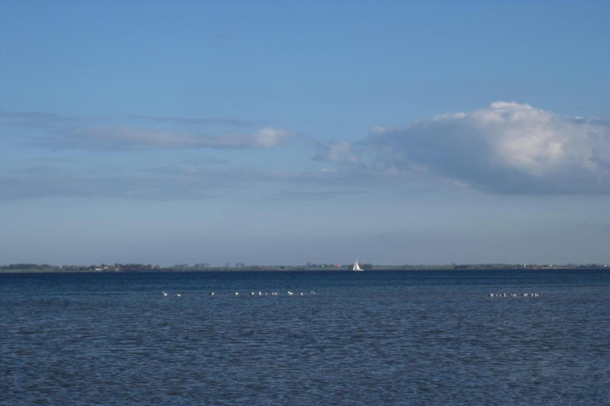 Urlaub vor den Toren der Hansestadt Wismar-Areas summer 5km
