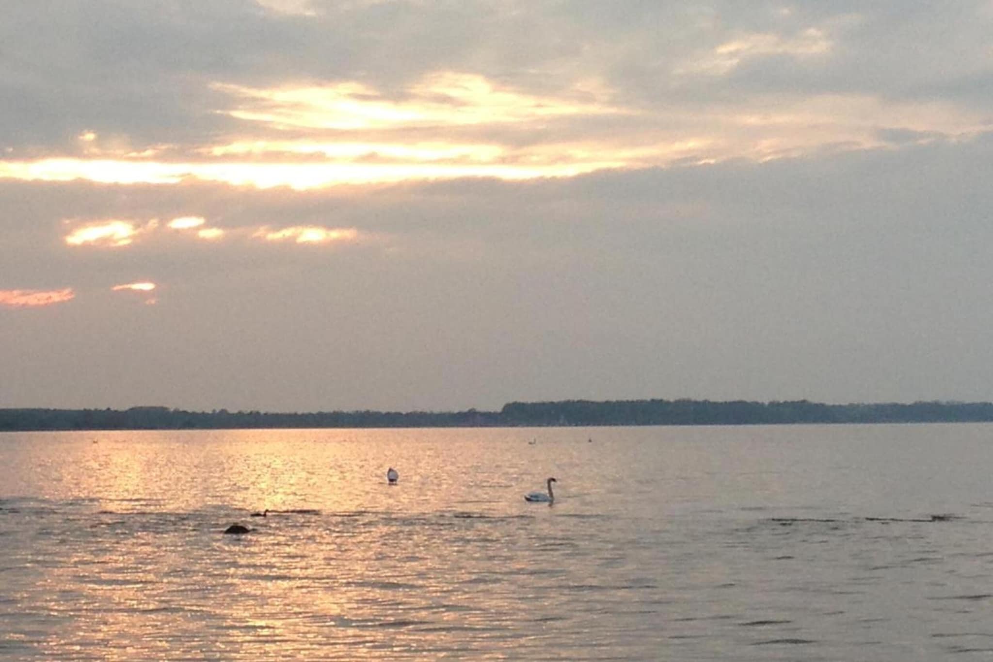 Urlaub vor den Toren der Hansestadt Wismar-Areas summer 5km