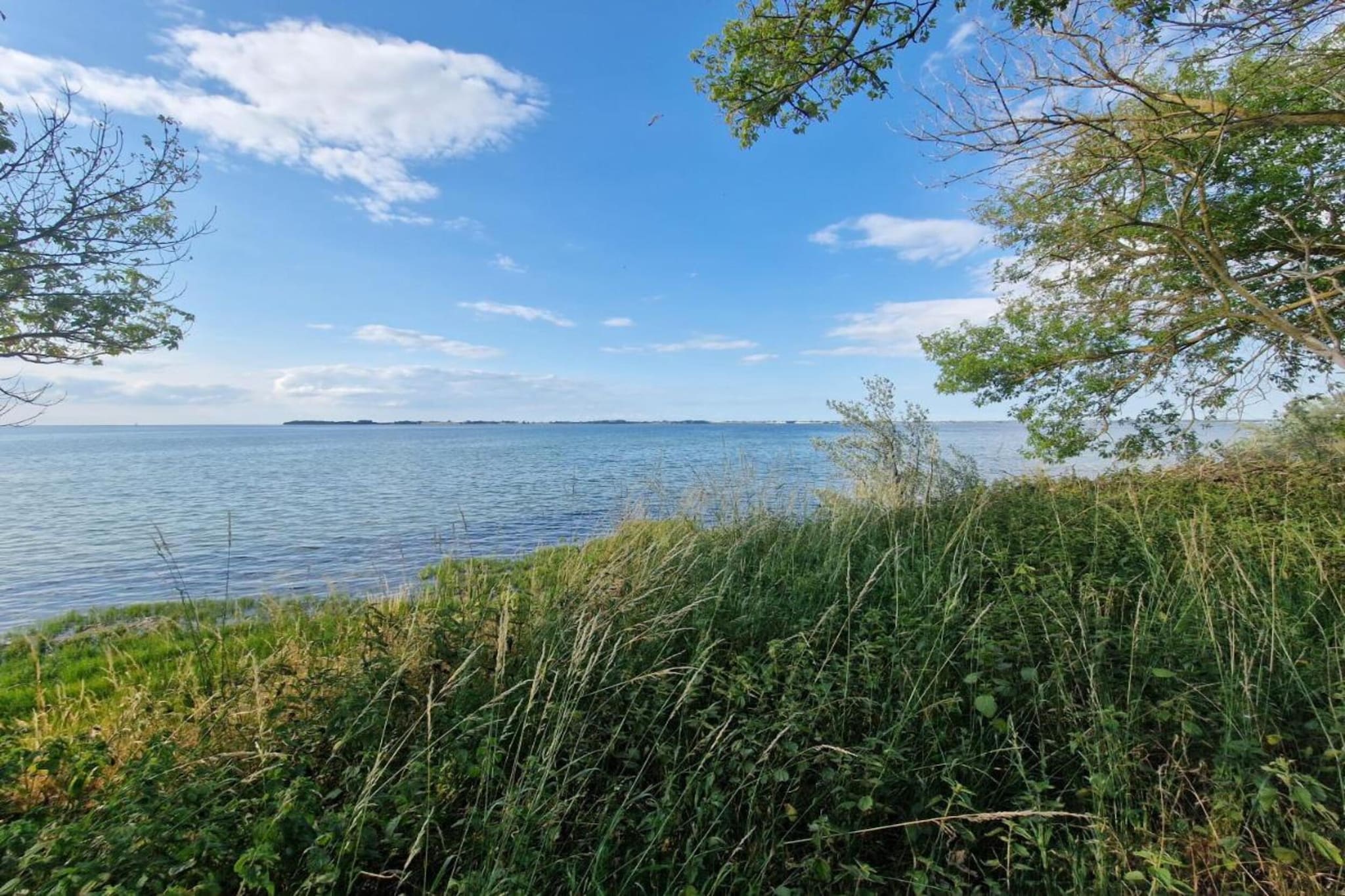 Urlaub vor den Toren der Hansestadt Wismar-Areas summer 5km