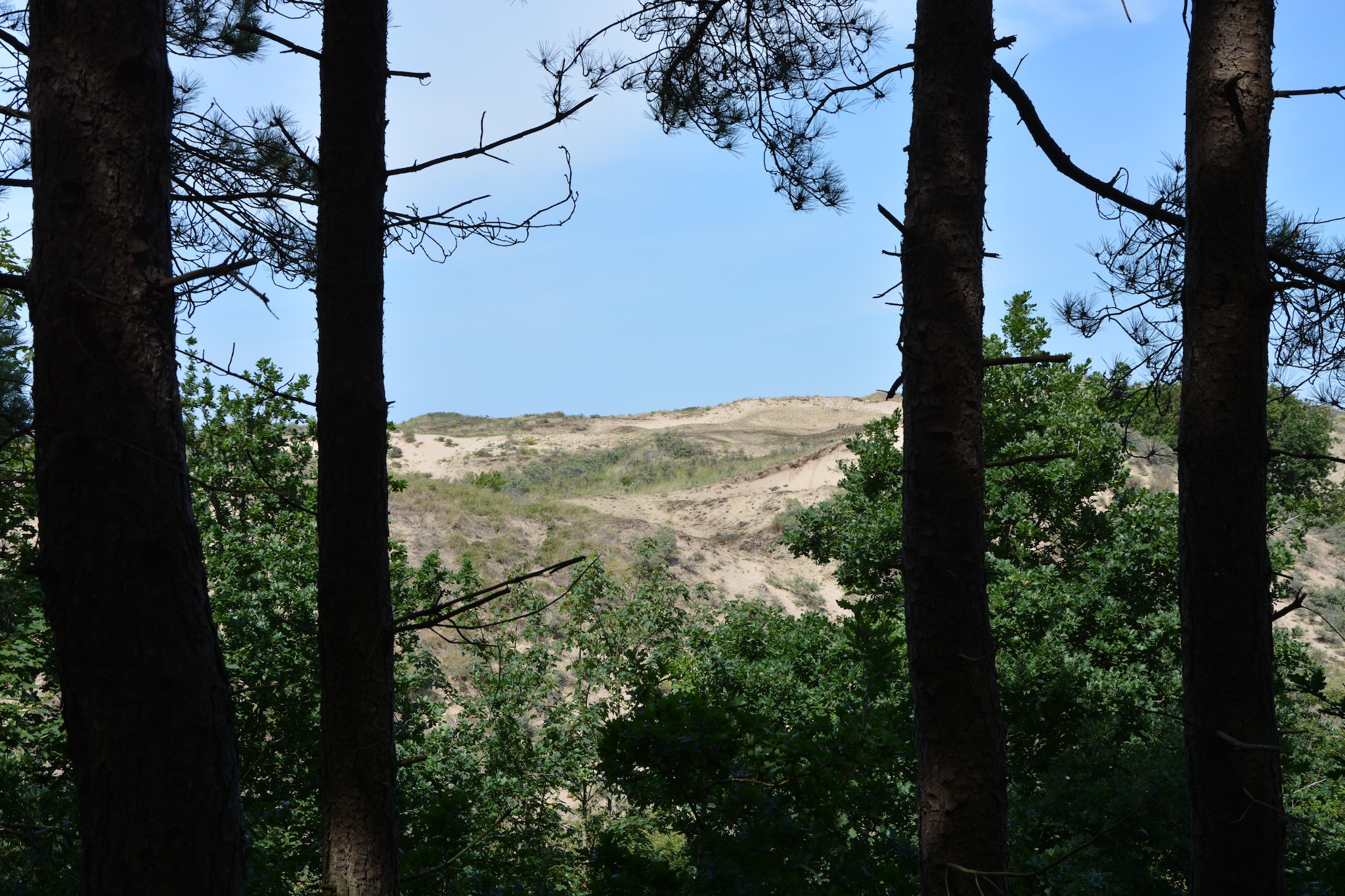 Casa Pinto - Gebieden zomer 5km