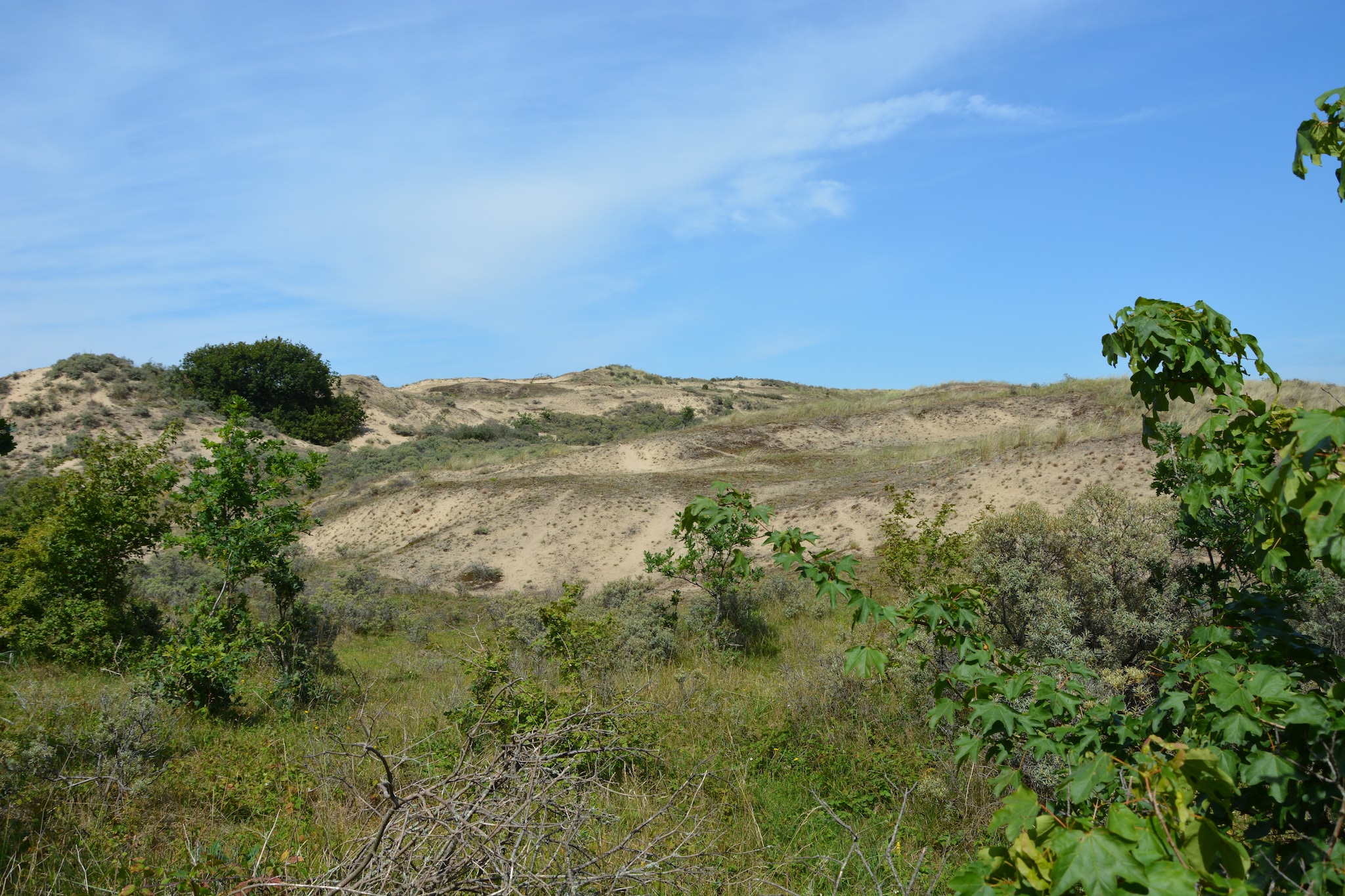 Casa Pinto - Gebieden zomer 5km