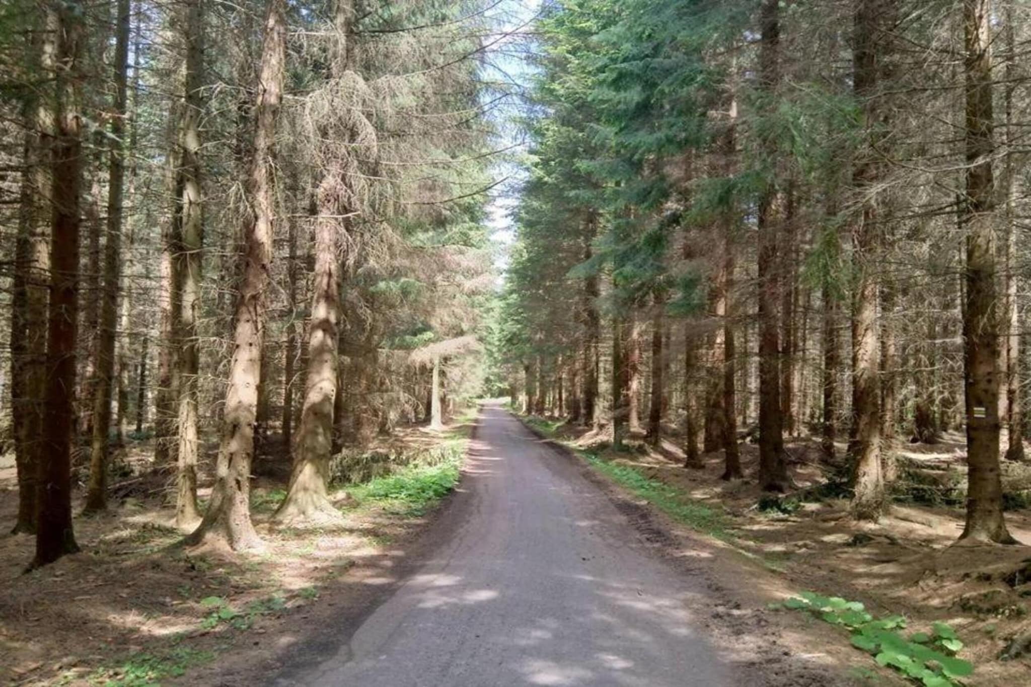 Barbora-Gebieden zomer 5km