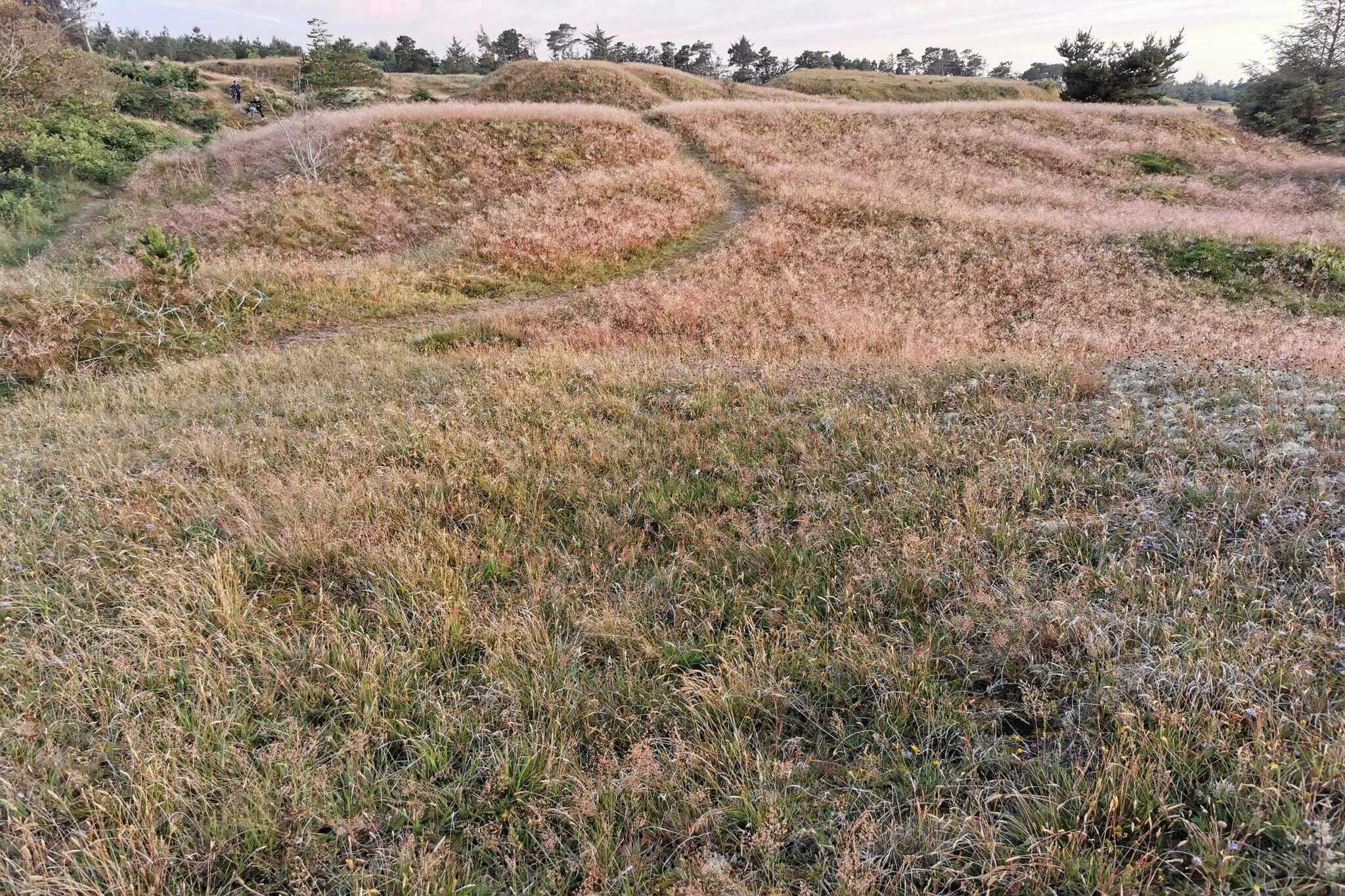 Annex: (double bed)\n\nInternet Access DSL, open kitchen(cooker(electric), hood, coffee machine, microwave, dishwasher, fridge-freezer, washing machine), Living/bed room(TV(satellite)), bedroom(double bed), bedroom(2x bunk bed), bathroom(bathtub or shower, washbasin, toilet), bathroom(bathtub or shower, washbasin, toilet), game computer, heating(electric), terrace, BBQ