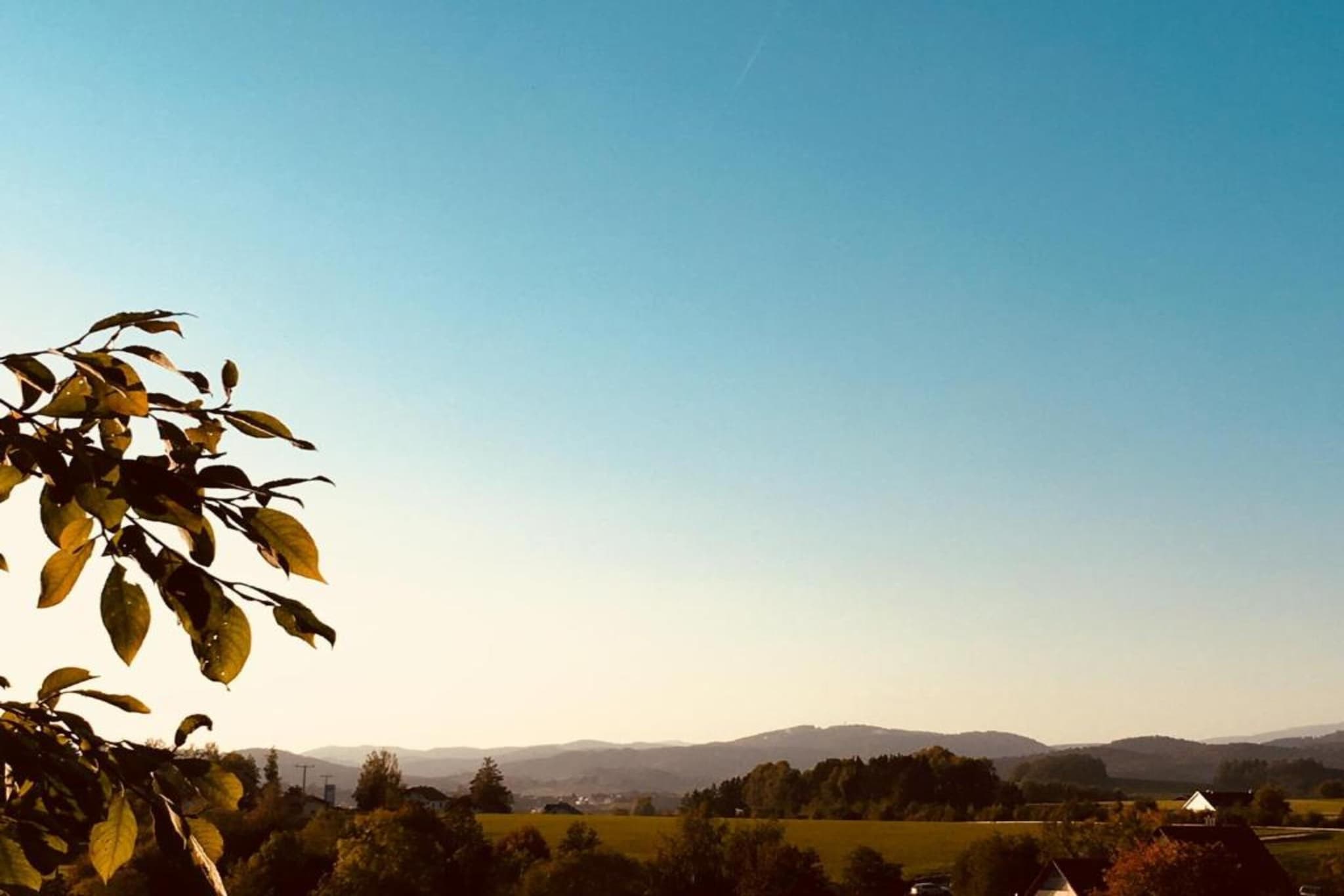 Holecek-Gebiete Sommer 5 km