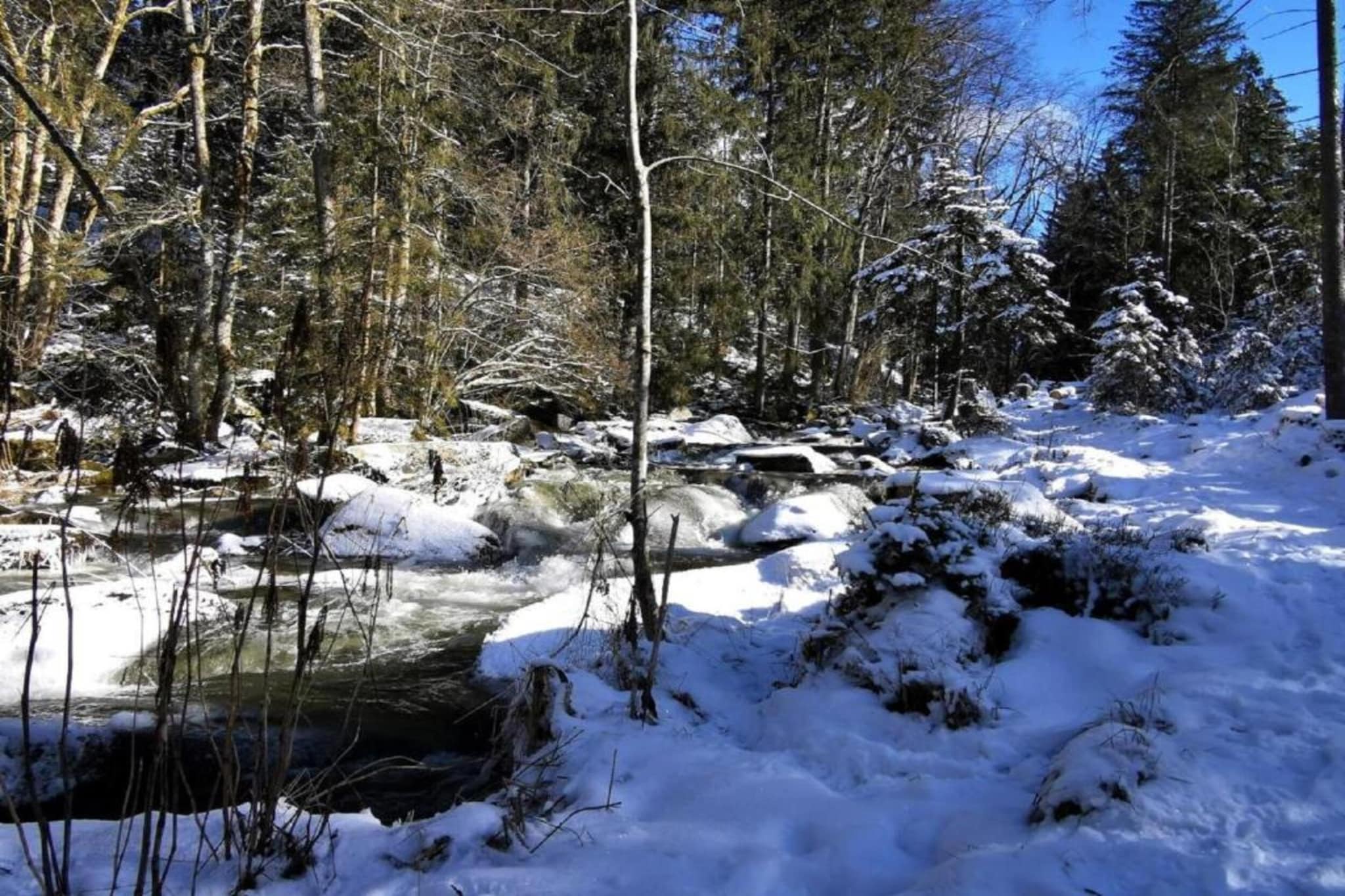 Holecek-Gebiet Winter 20 km