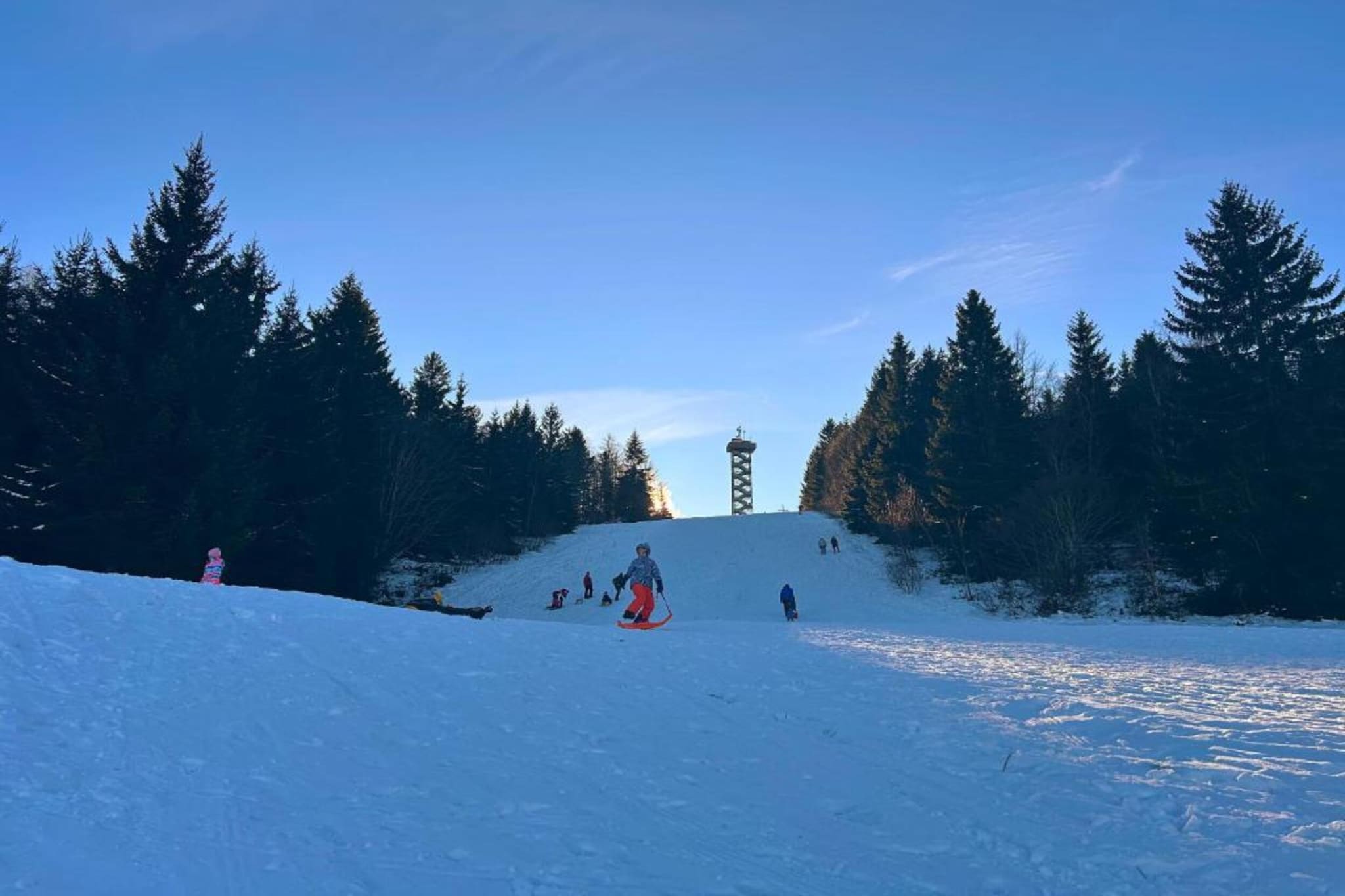 Holecek-Gebiet Winter 20 km
