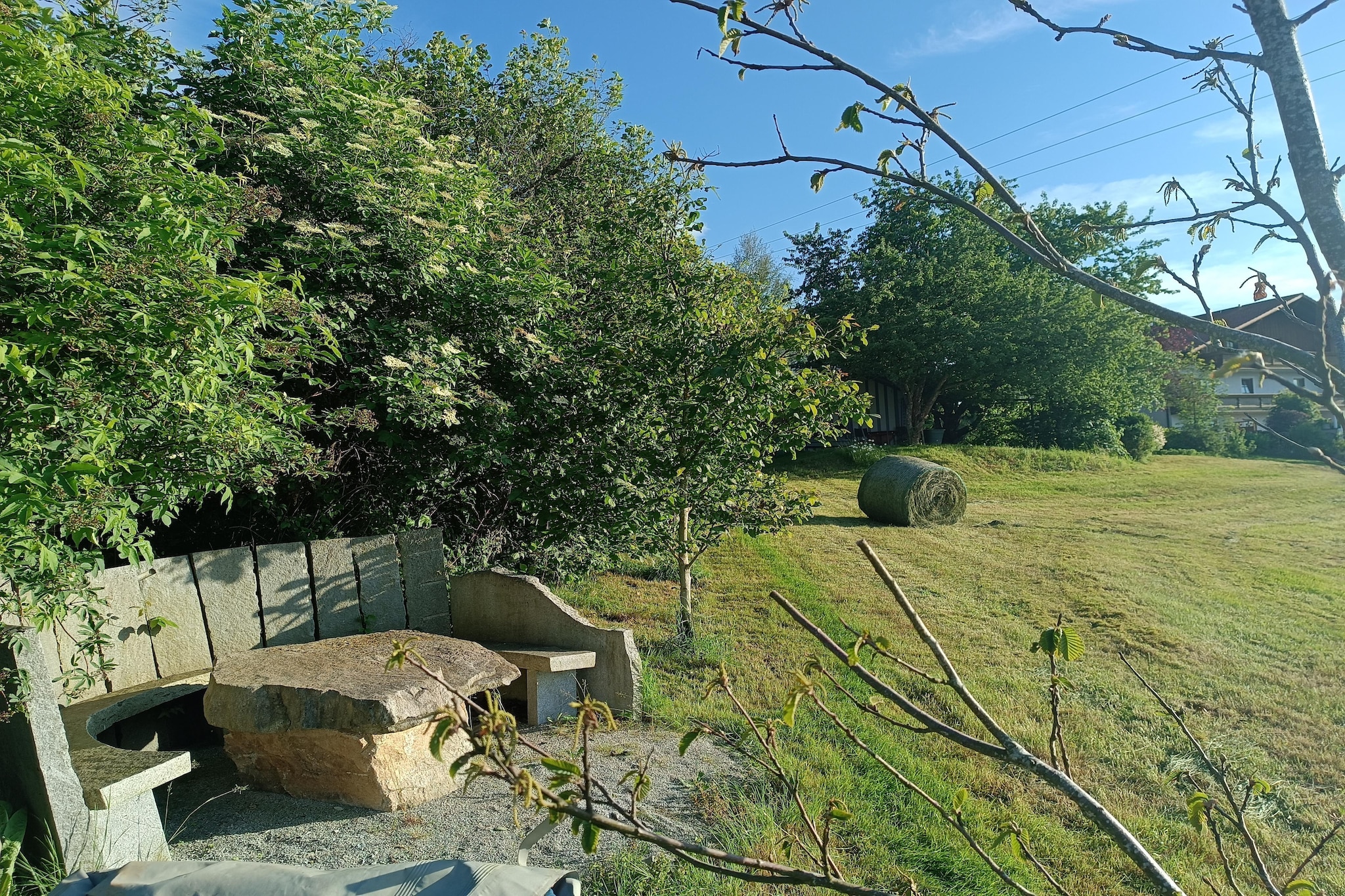 Holecek-Gardens summer