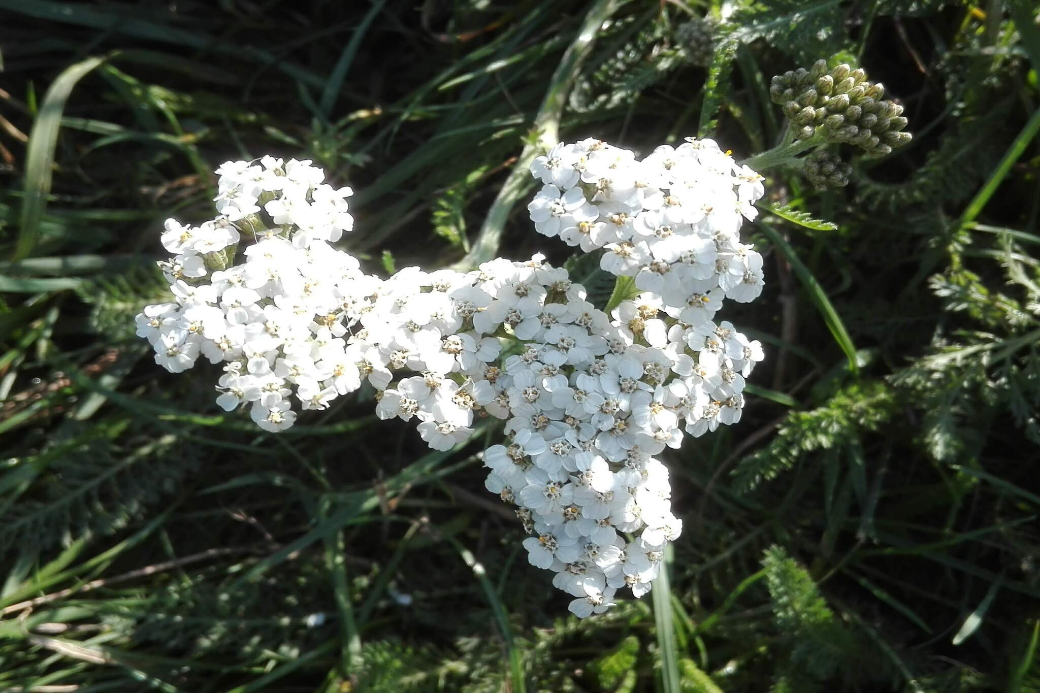 7 person holiday home in Bredebro-By Traum