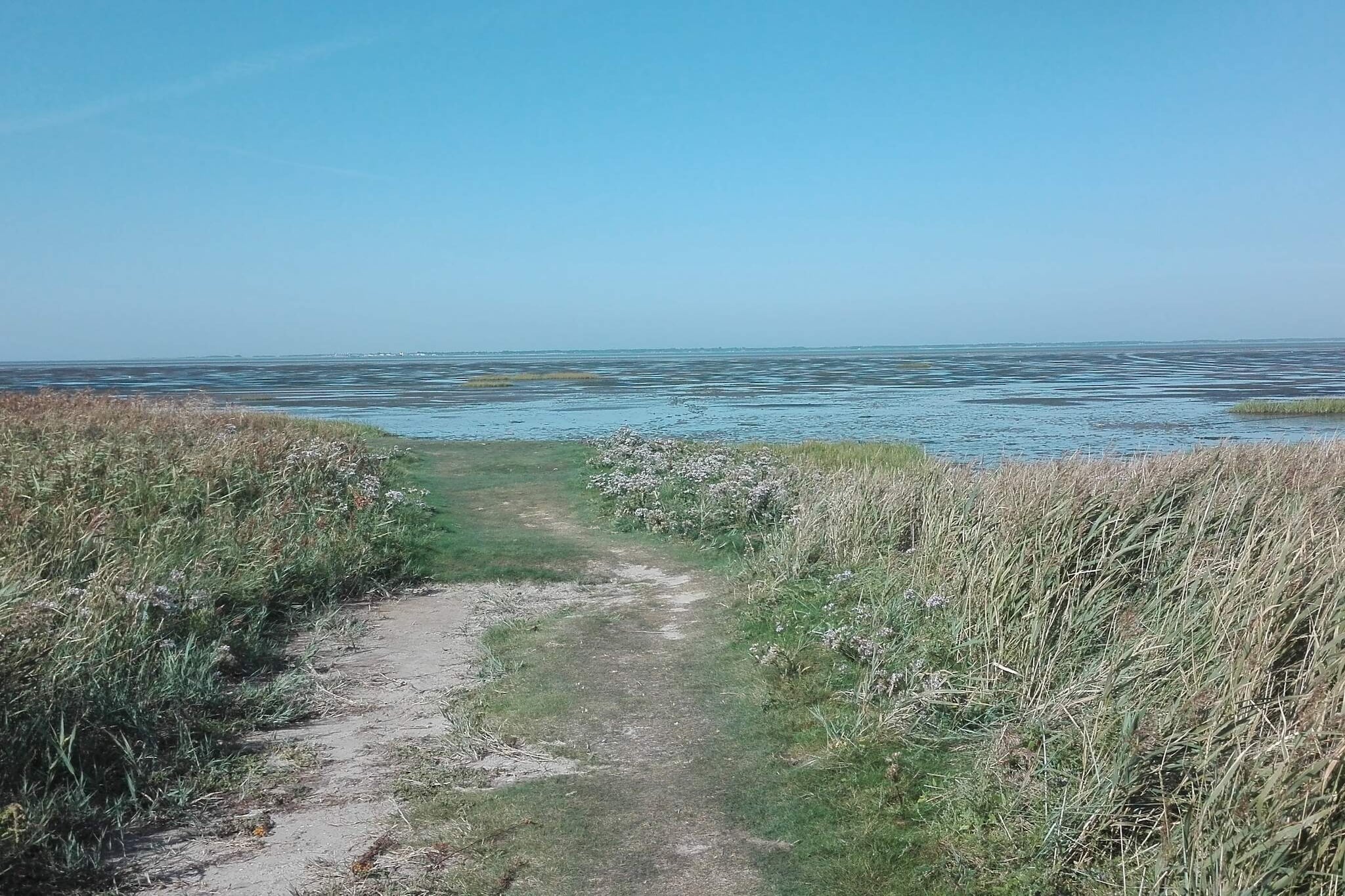 7 person holiday home in Bredebro-By Traum