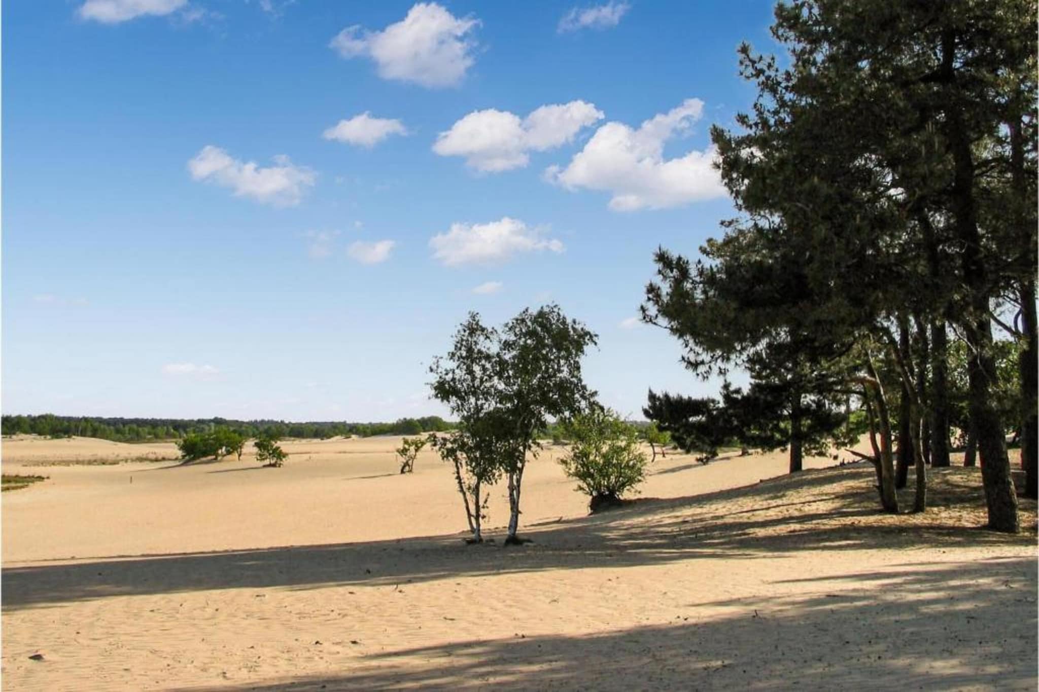 Recreatiepark Duinhoeve 9-Areas summer 20km