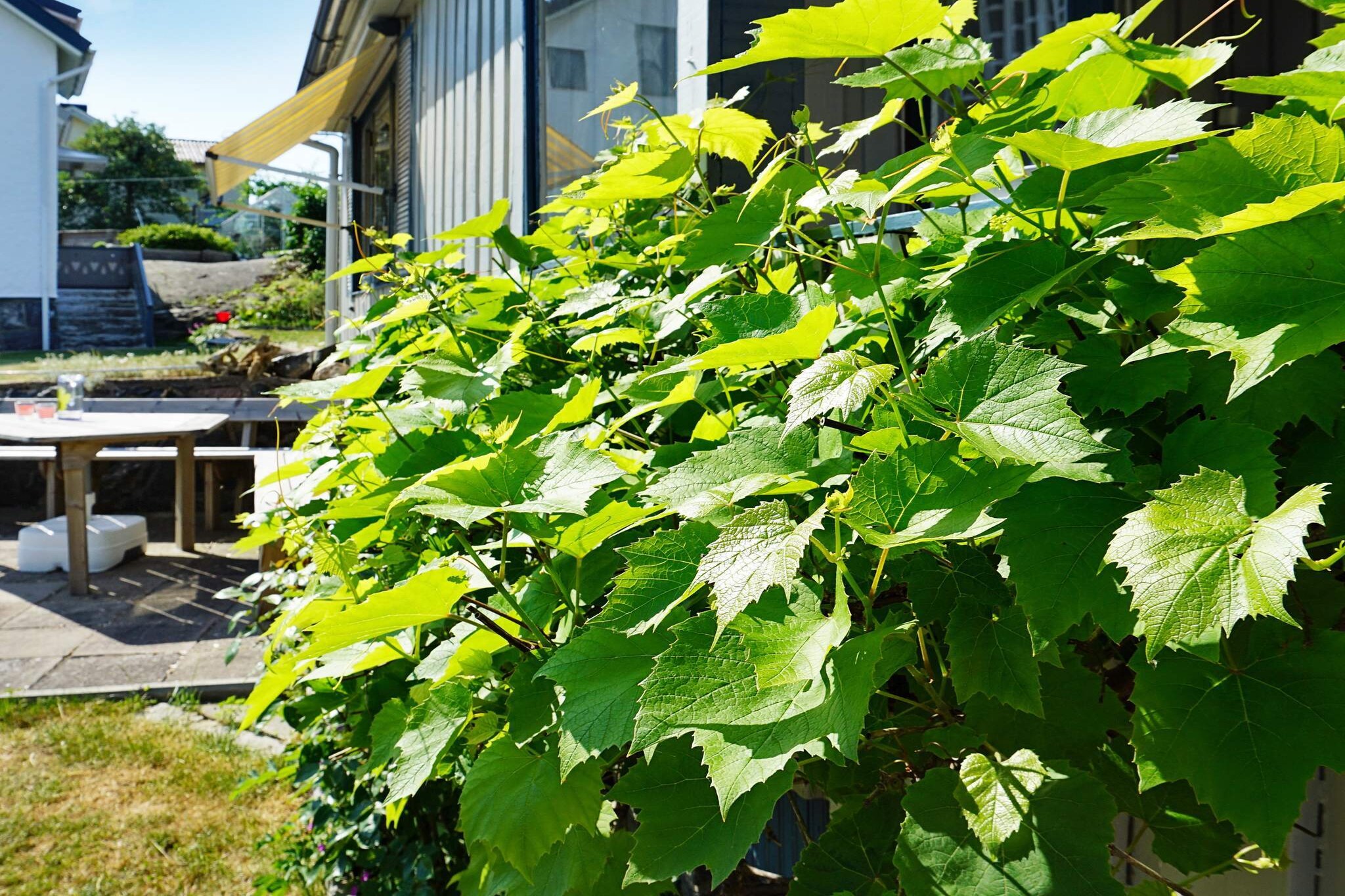4 person holiday home in HÃ¶nÃ¶