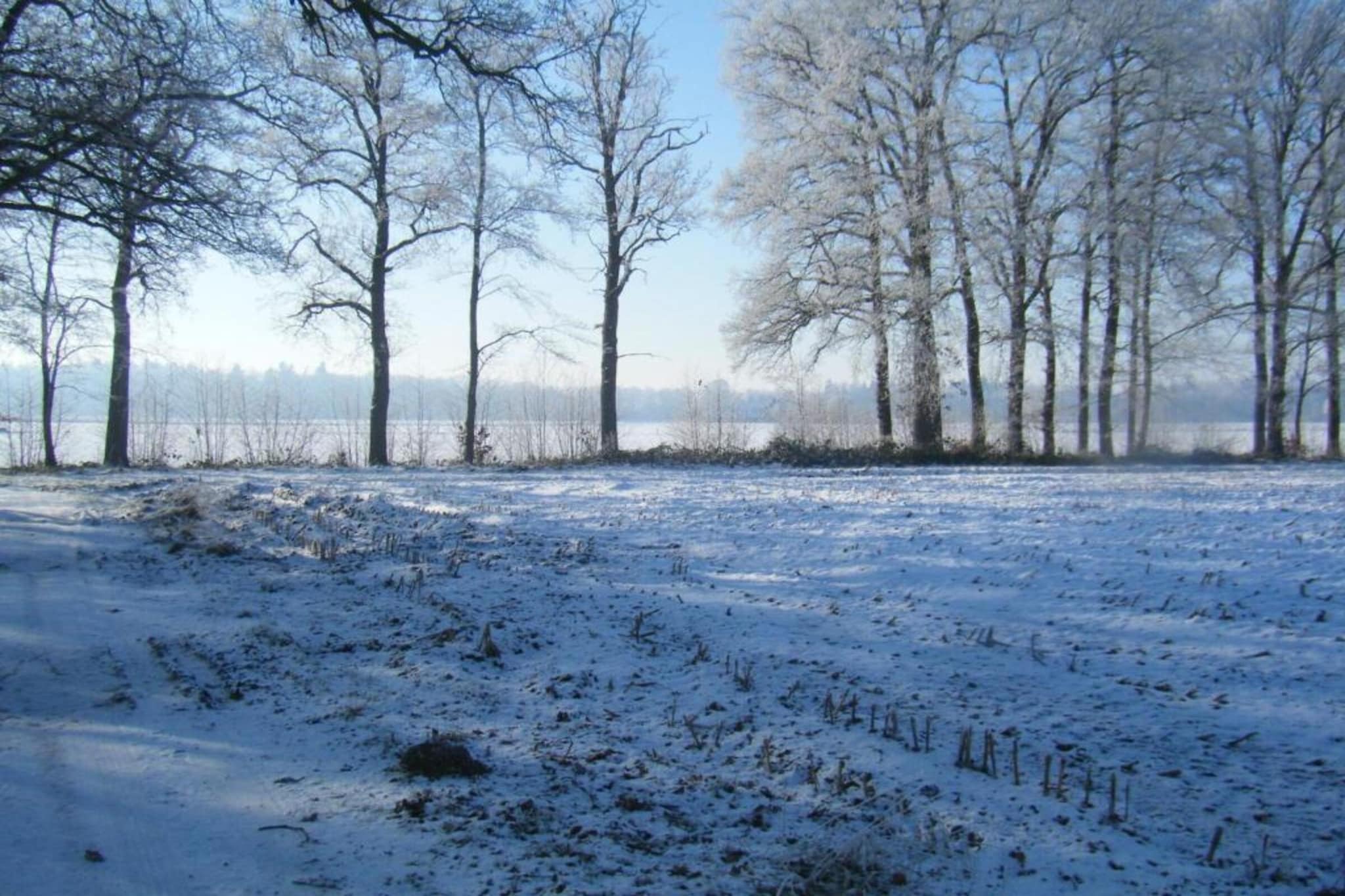 Koe in de Kost 2-Area winter 1km