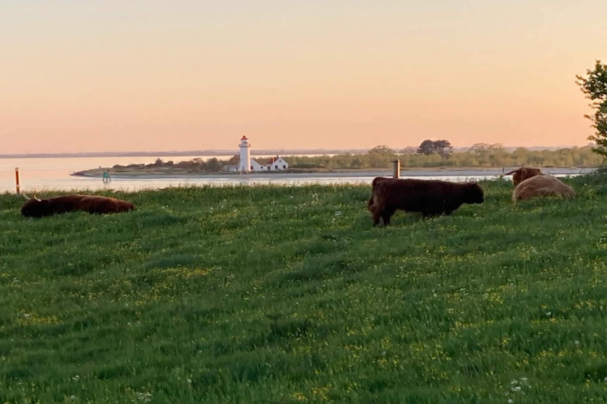 Kust ontsnapping in Hindsholm -- By Traum Ferienwohnungen-Waterzicht