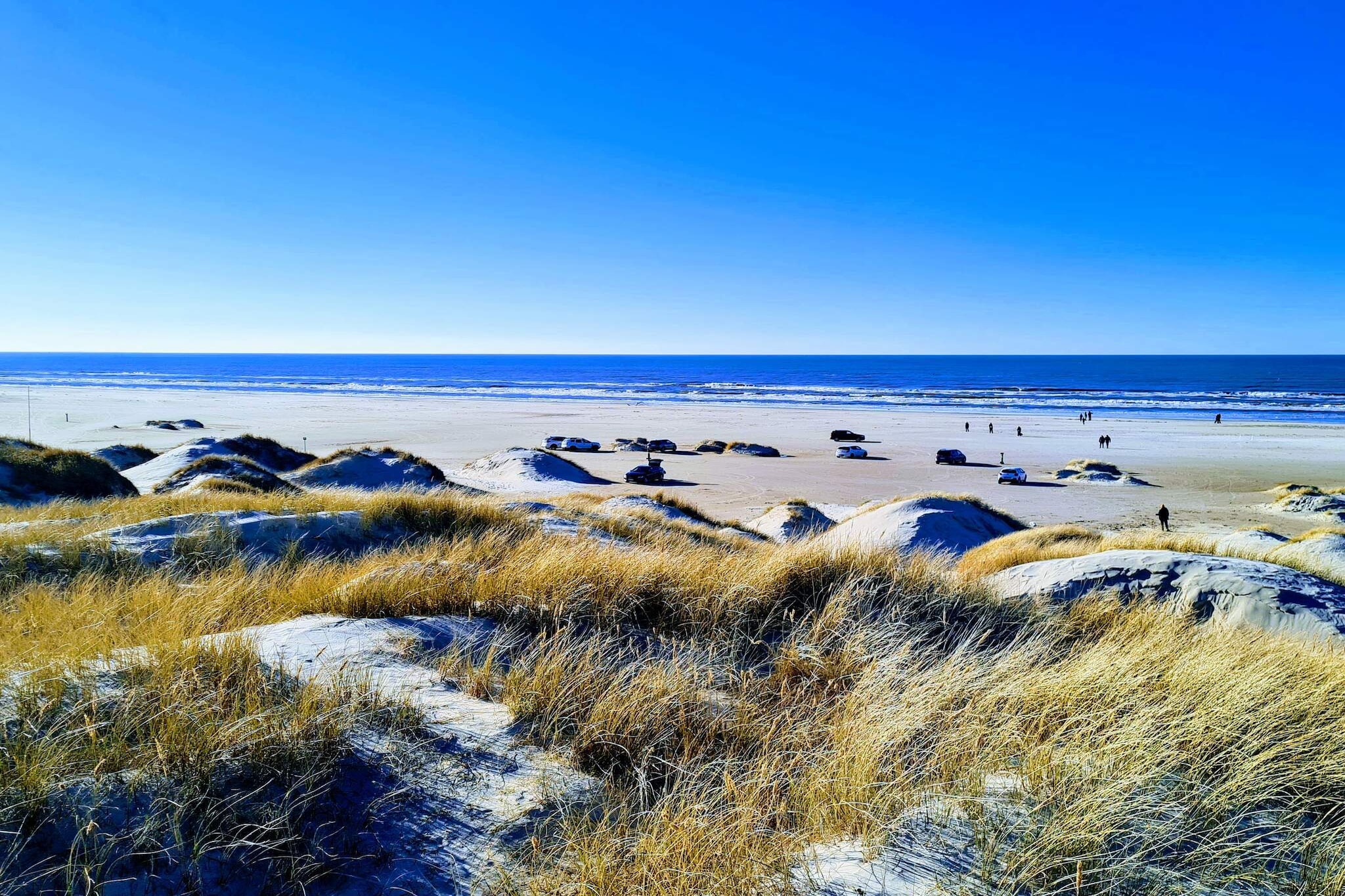 6 persoons vakantie huis in Blokhus-By Traum