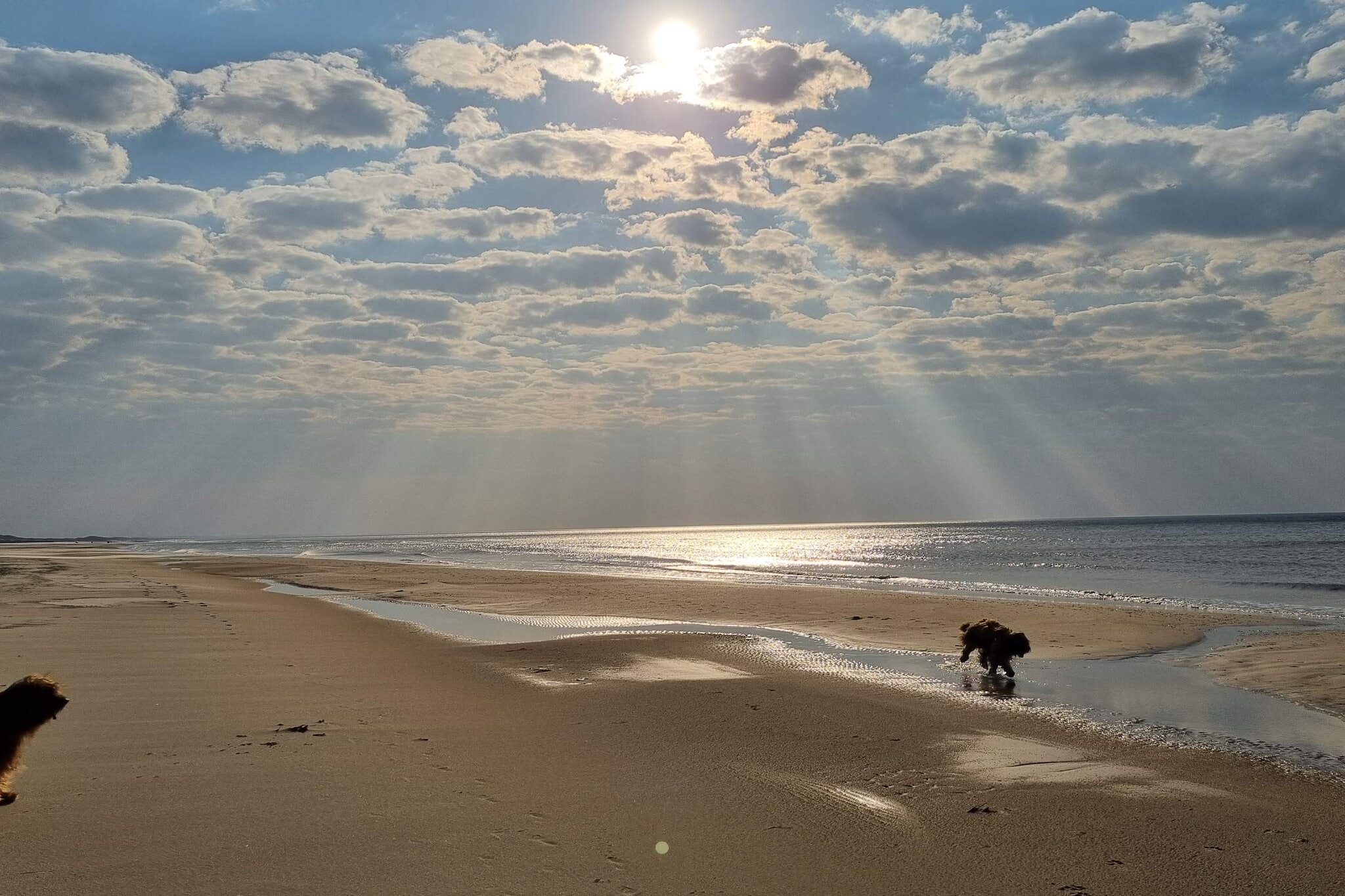 6 persoons vakantie huis in Blokhus-By Traum-Waterzicht