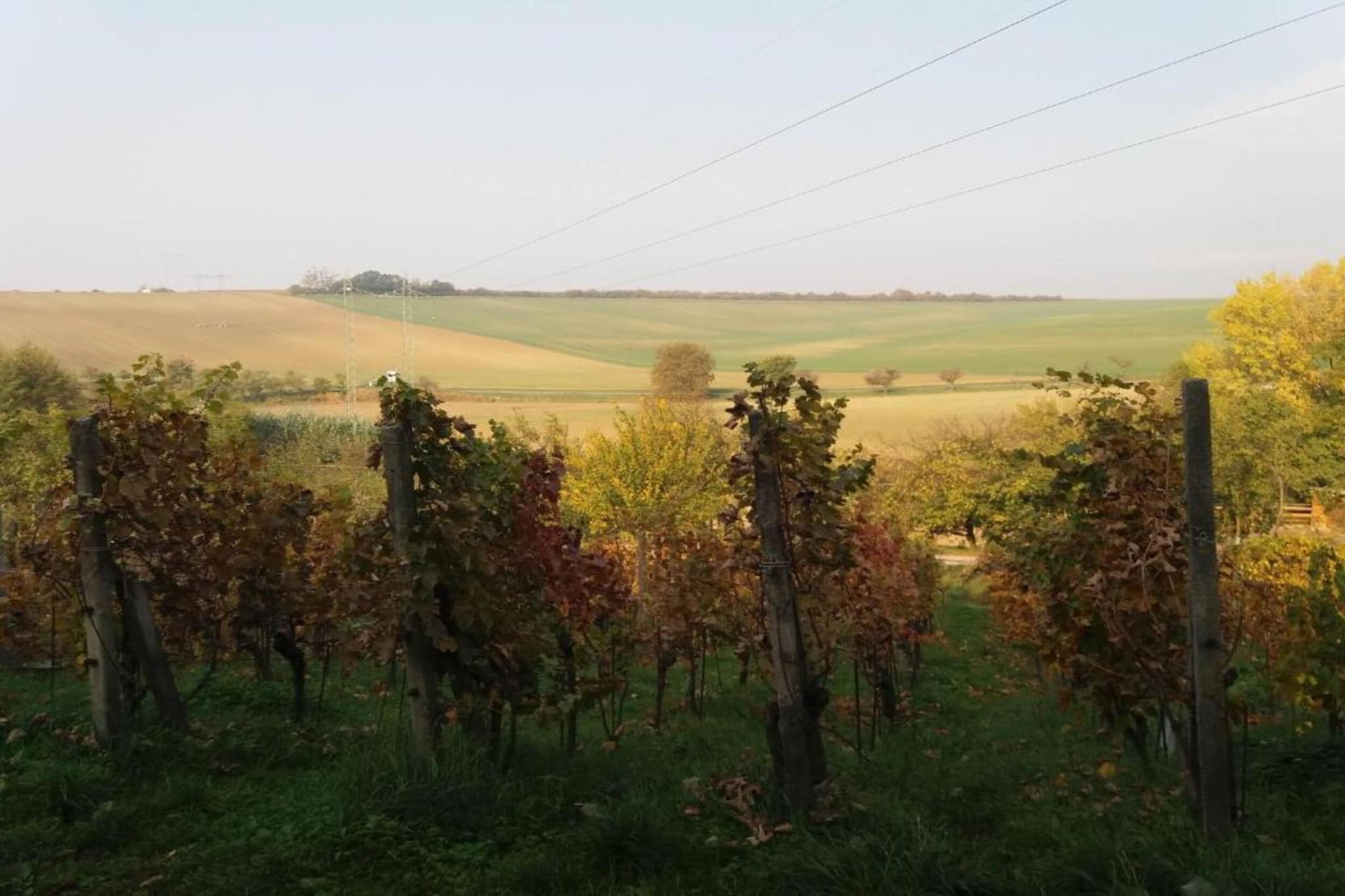 Relax Chalet Kyjov-Areas summer 20km