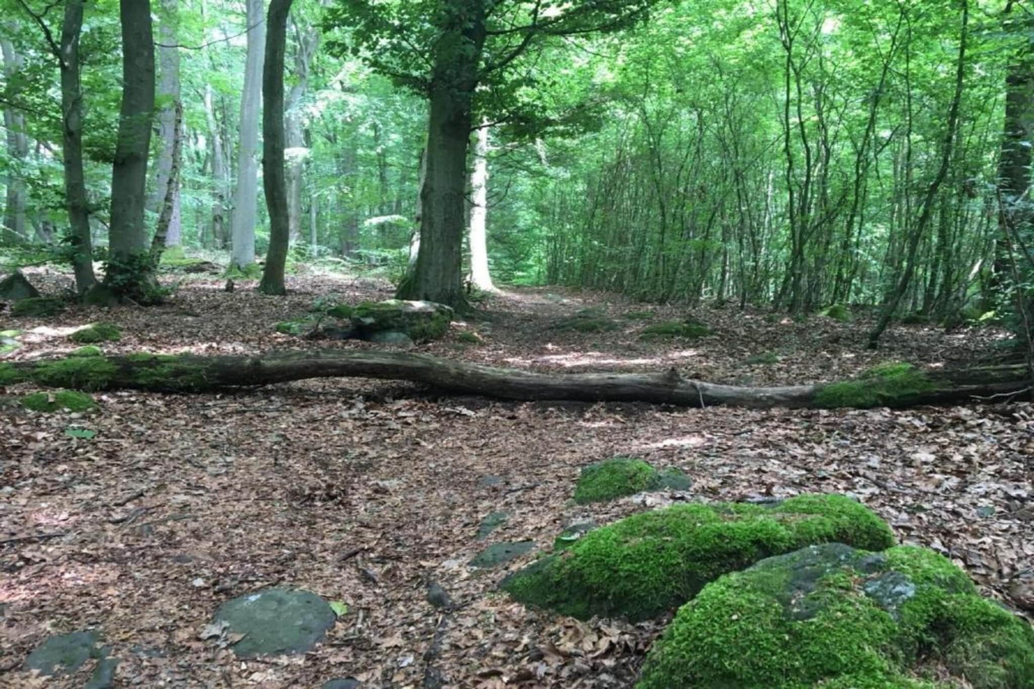 Wanderfreund-Gebieden zomer 20km