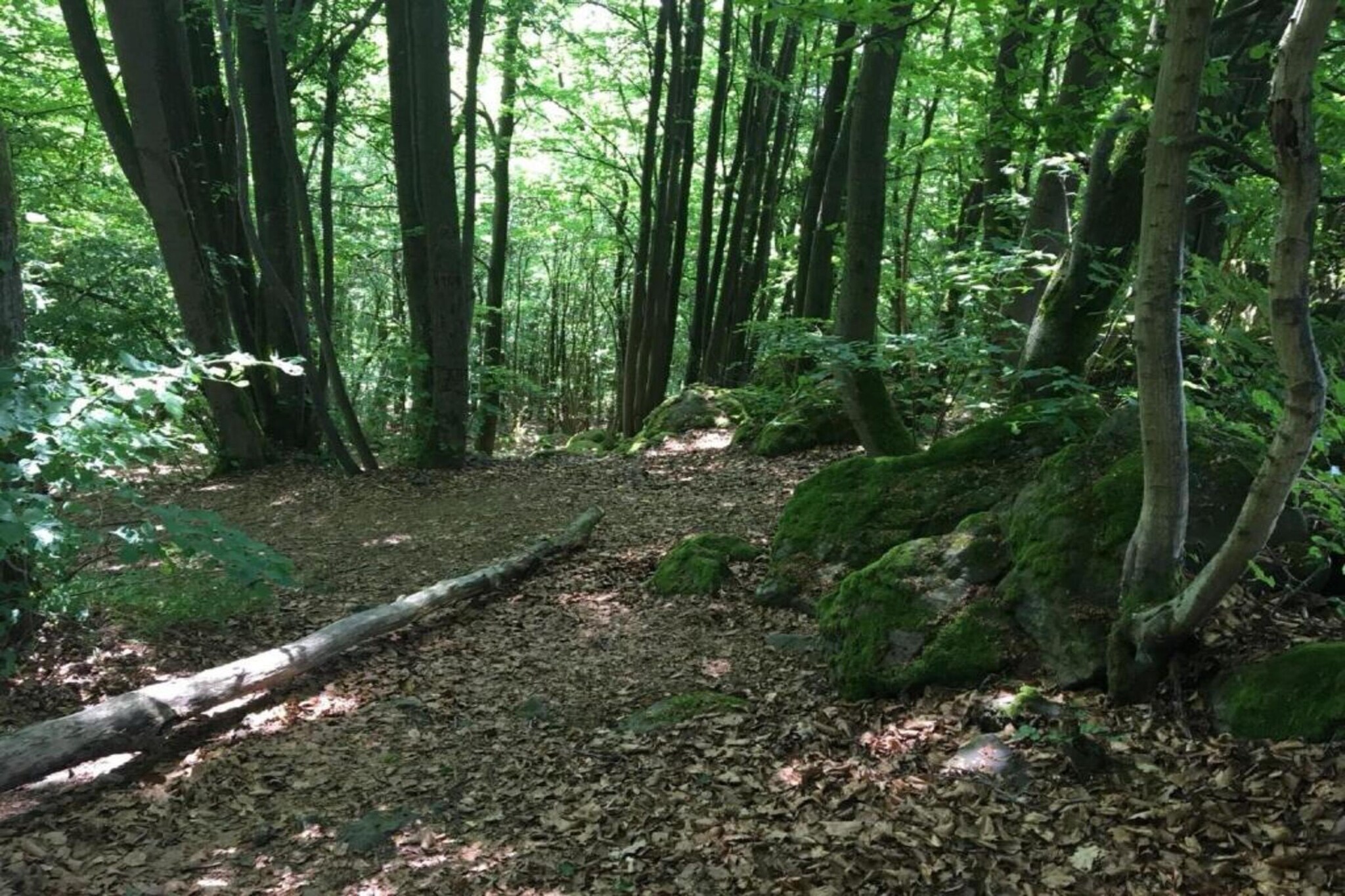 Wanderfreund-Gebieden zomer 20km