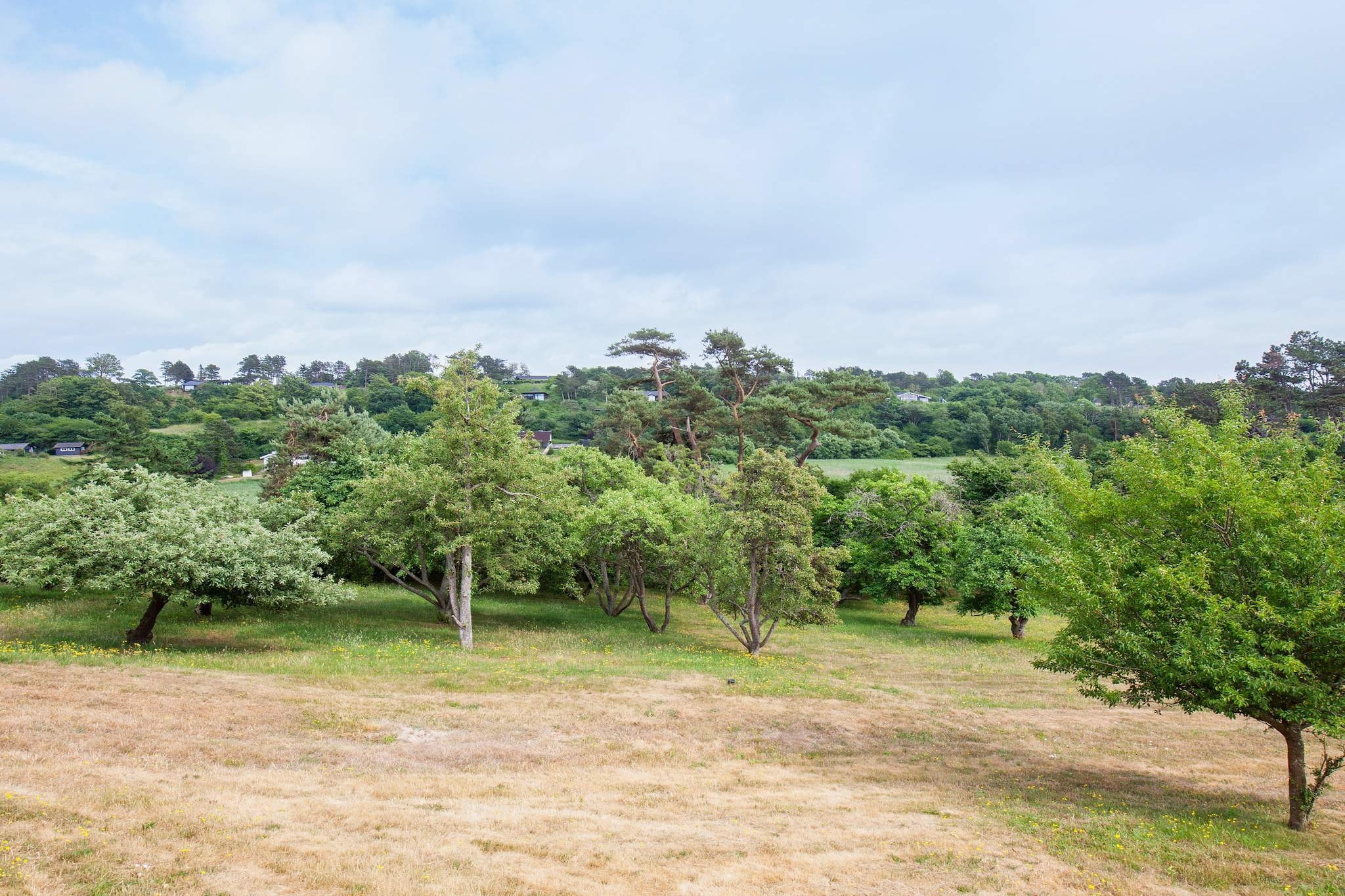 Luxe toevluchtsoord in Klint -- By Traum Ferienwohnungen