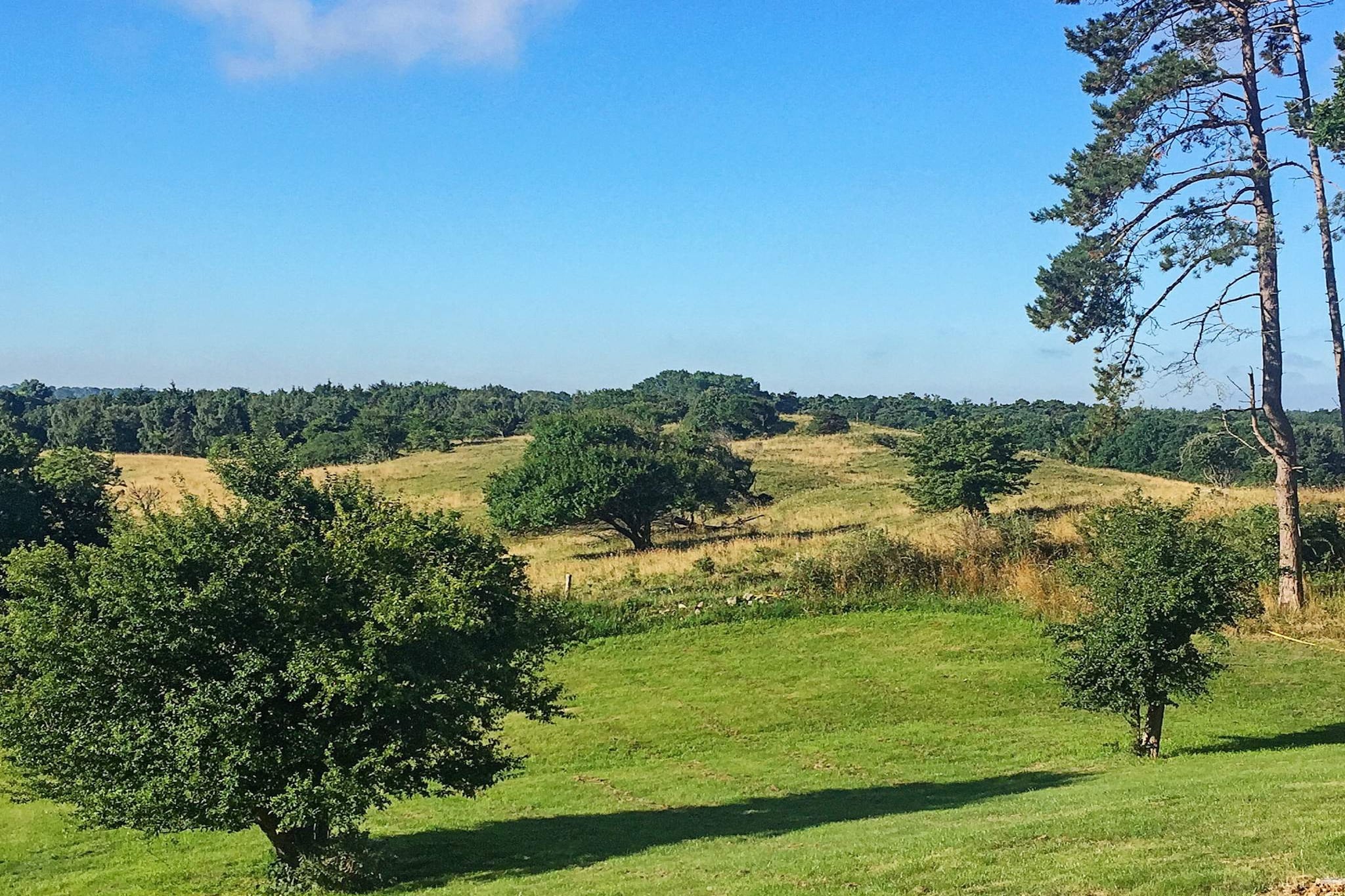 Luxe toevluchtsoord in Klint -- By Traum Ferienwohnungen - Uitzicht