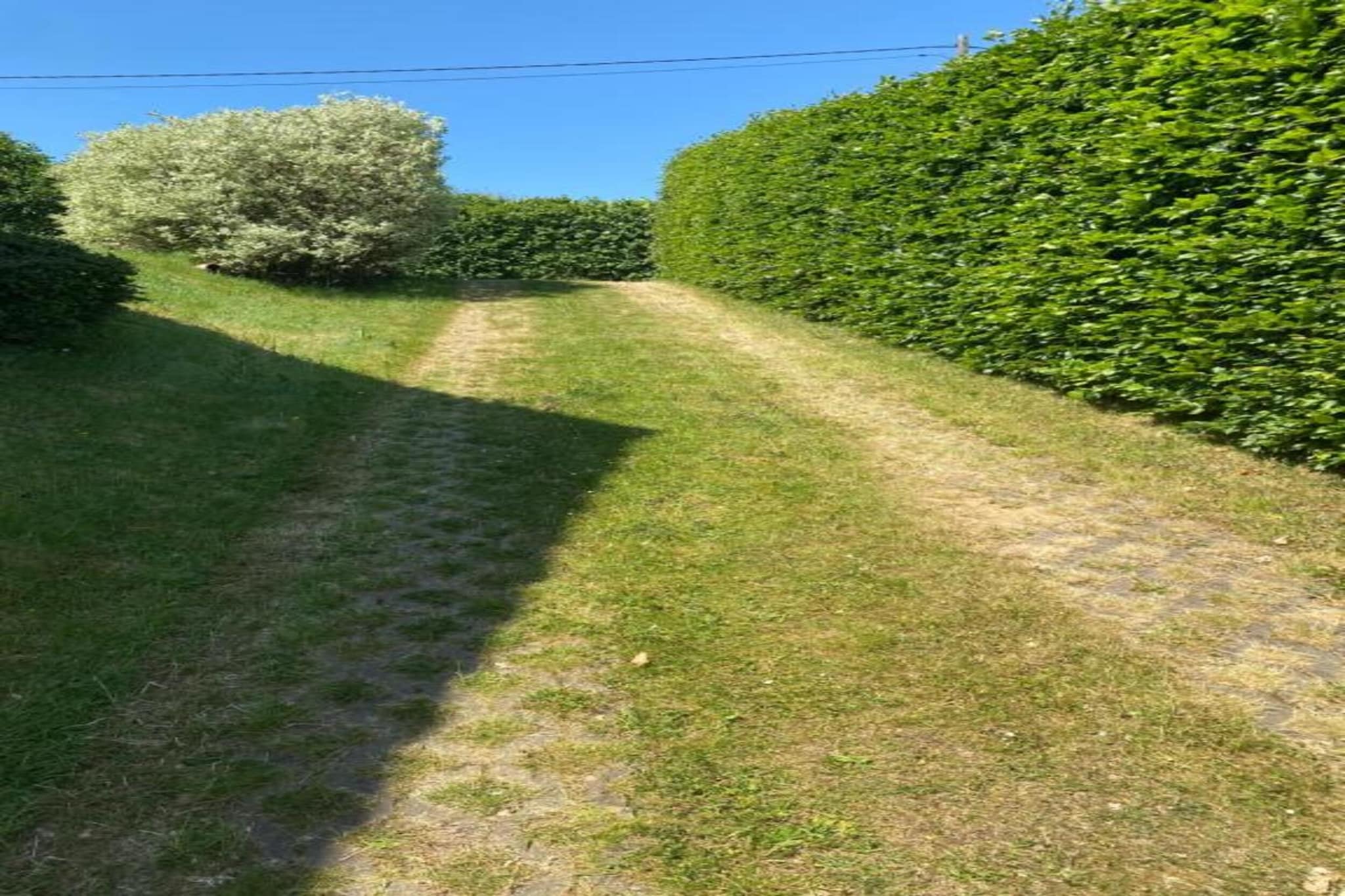 Le vieil érable-Areas summer 20km