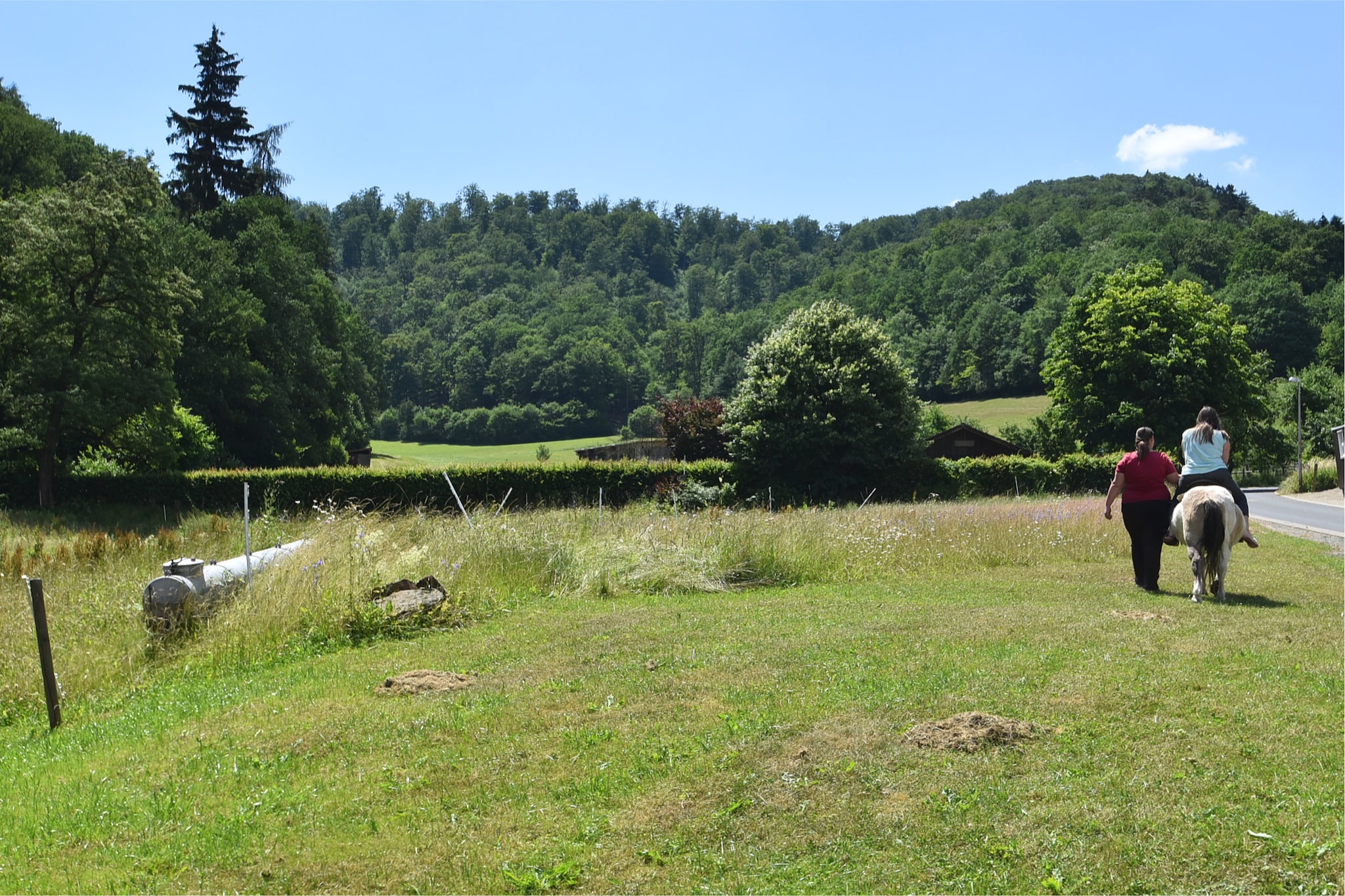Am Ferienbauernhof - FW 6 und 7-Gebieden zomer 1km