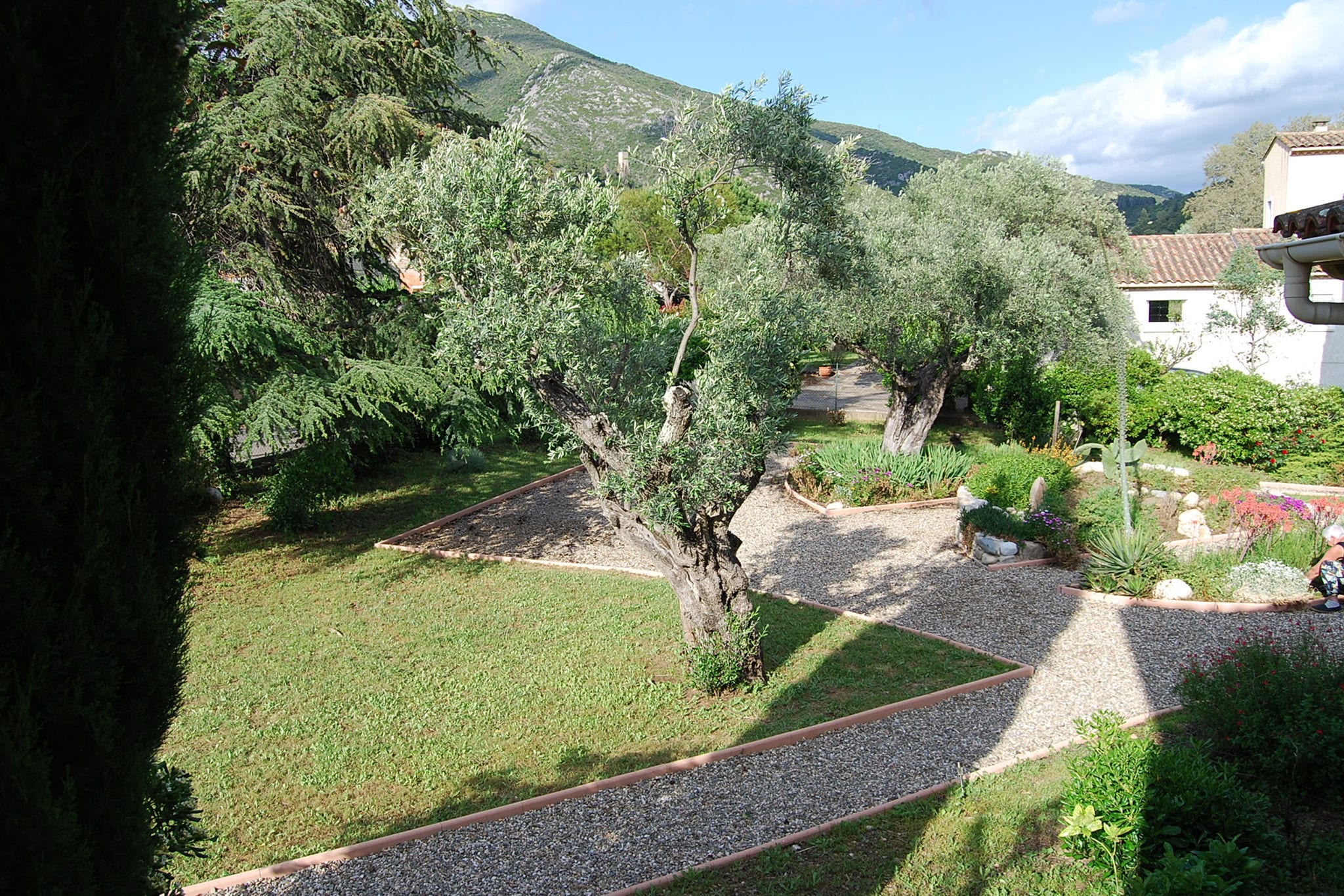 Villa  avec piscine à Roquebrun
