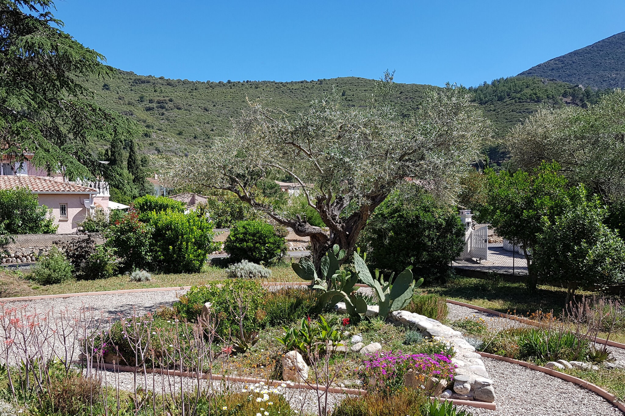 Villa  avec piscine à Roquebrun