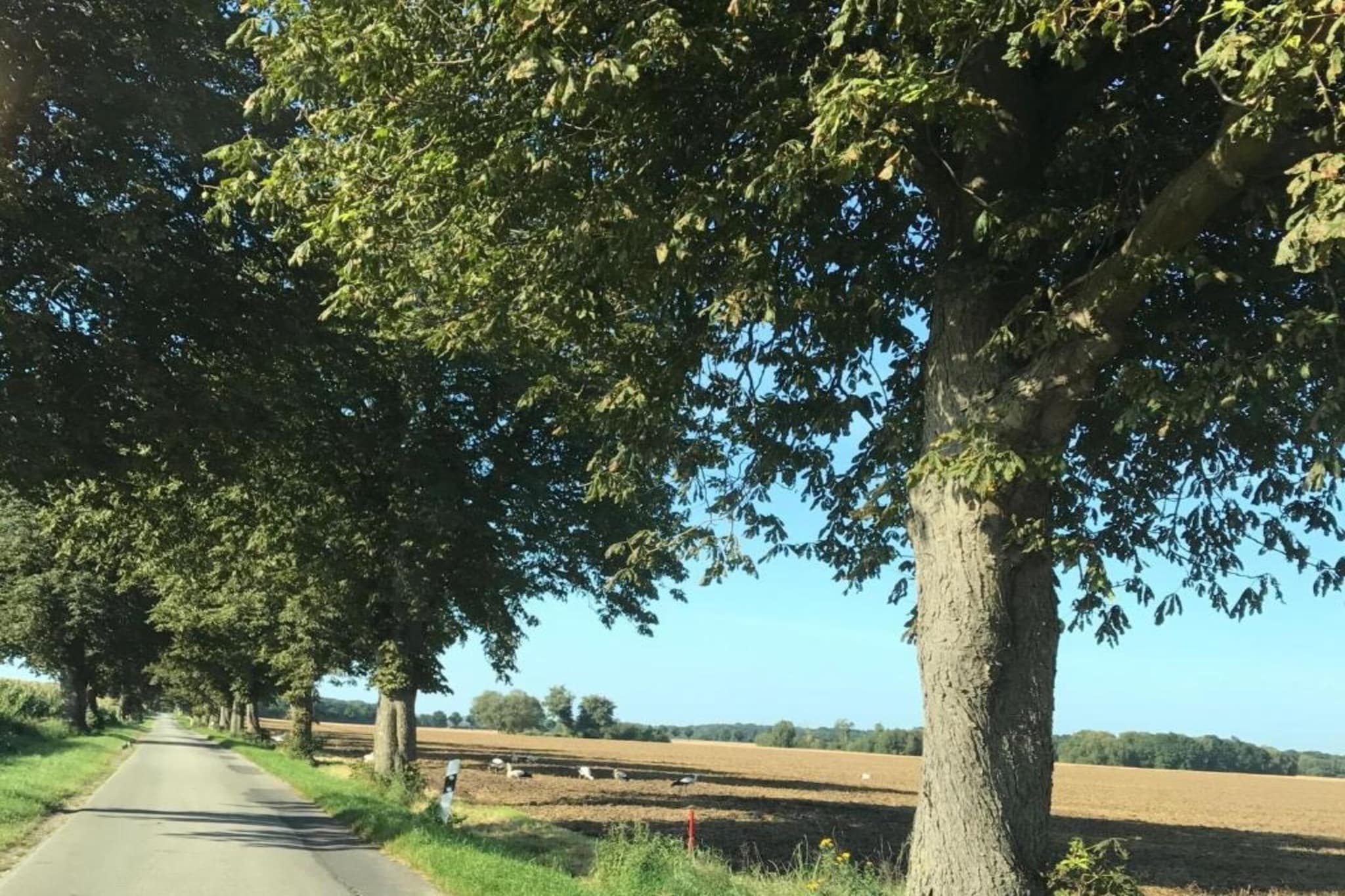 Komfortable Familienwohnung 2-Gebieden zomer 20km