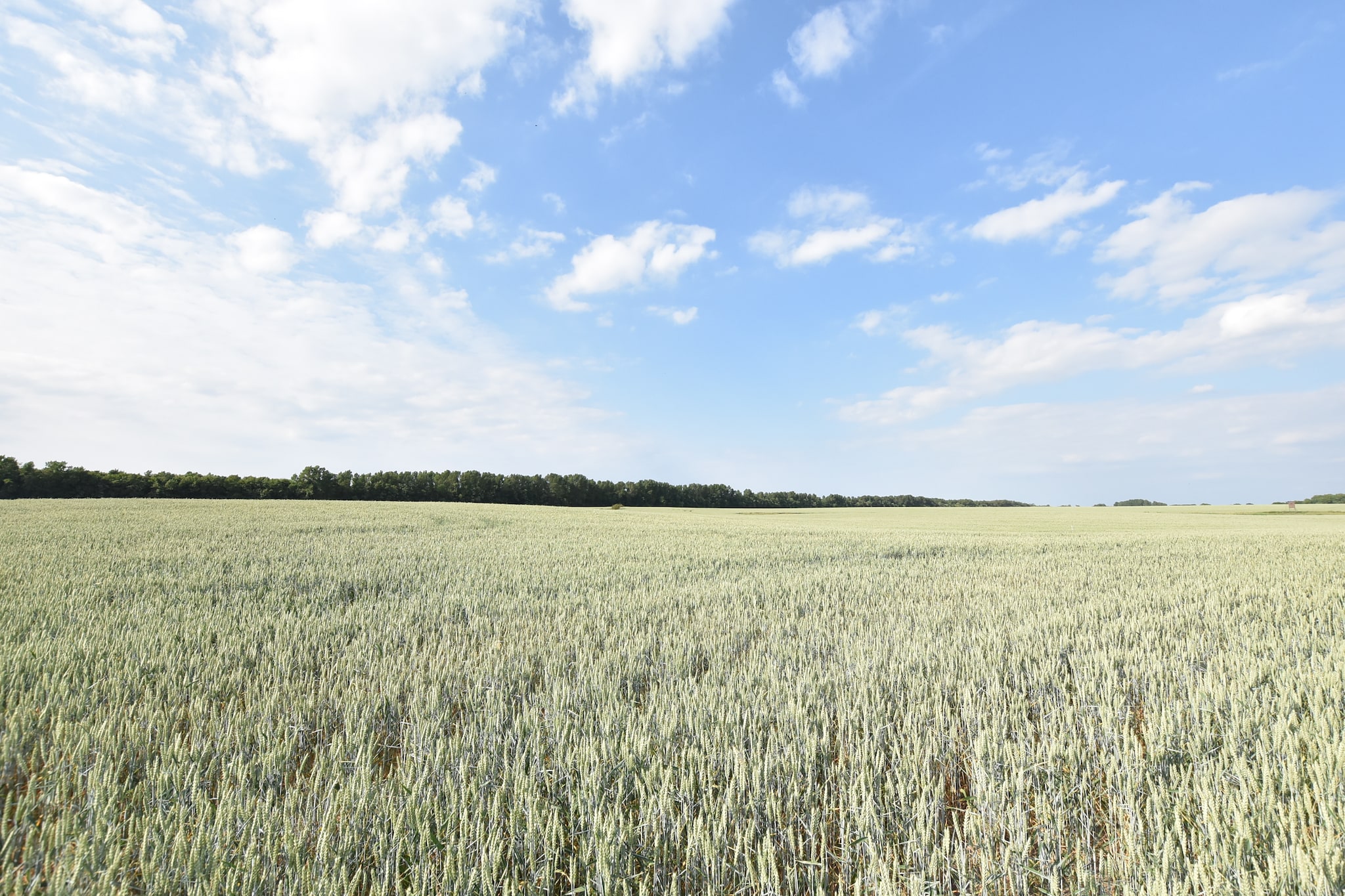 Familienferien in ländlicher Idylle 3-Gebieden zomer 20km