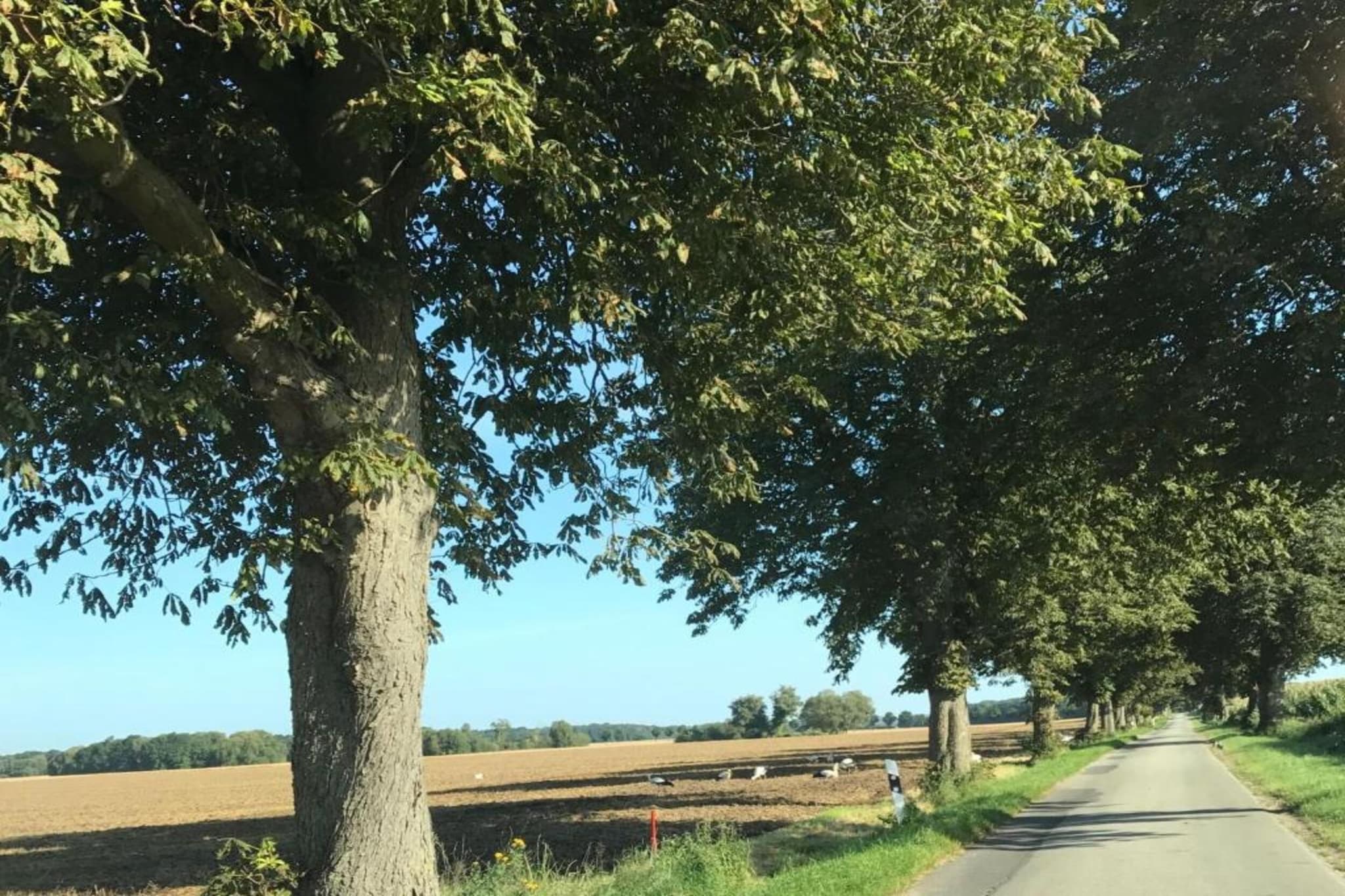 Familienurlaub im Grünen 4-Gebieden zomer 20km