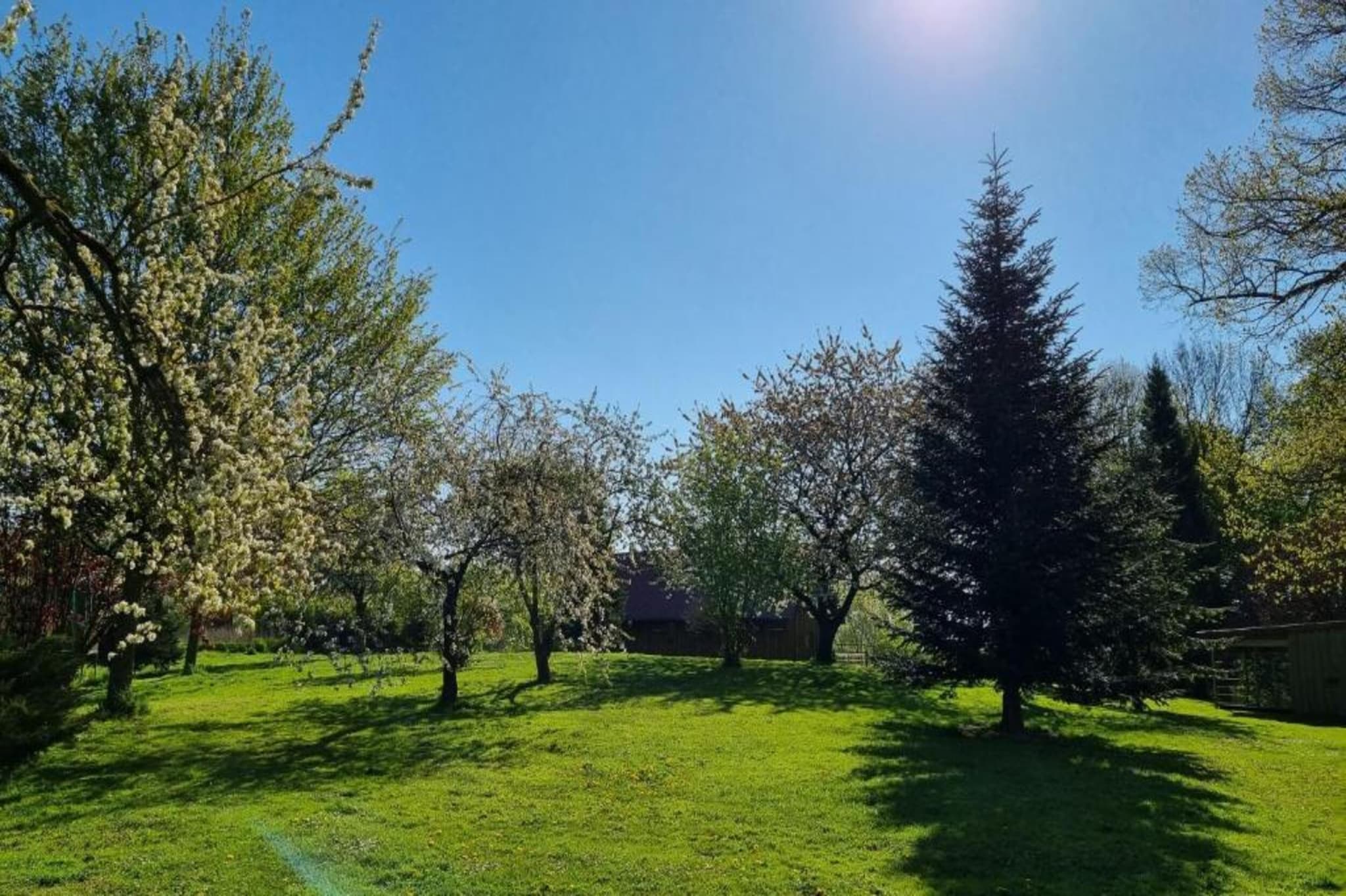 Familienurlaub im Grünen 4-Gebieden zomer 20km