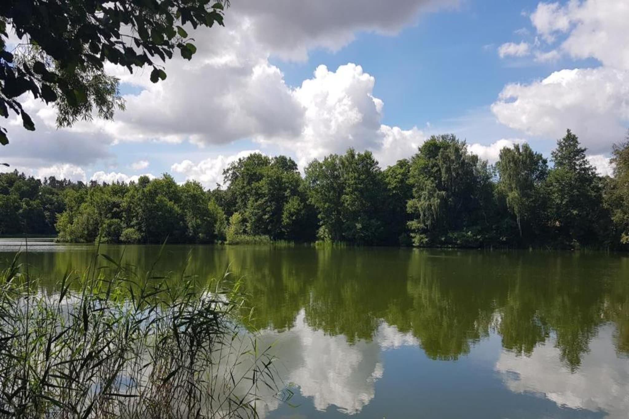 Familienurlaub im Grünen 4-Gebieden zomer 20km