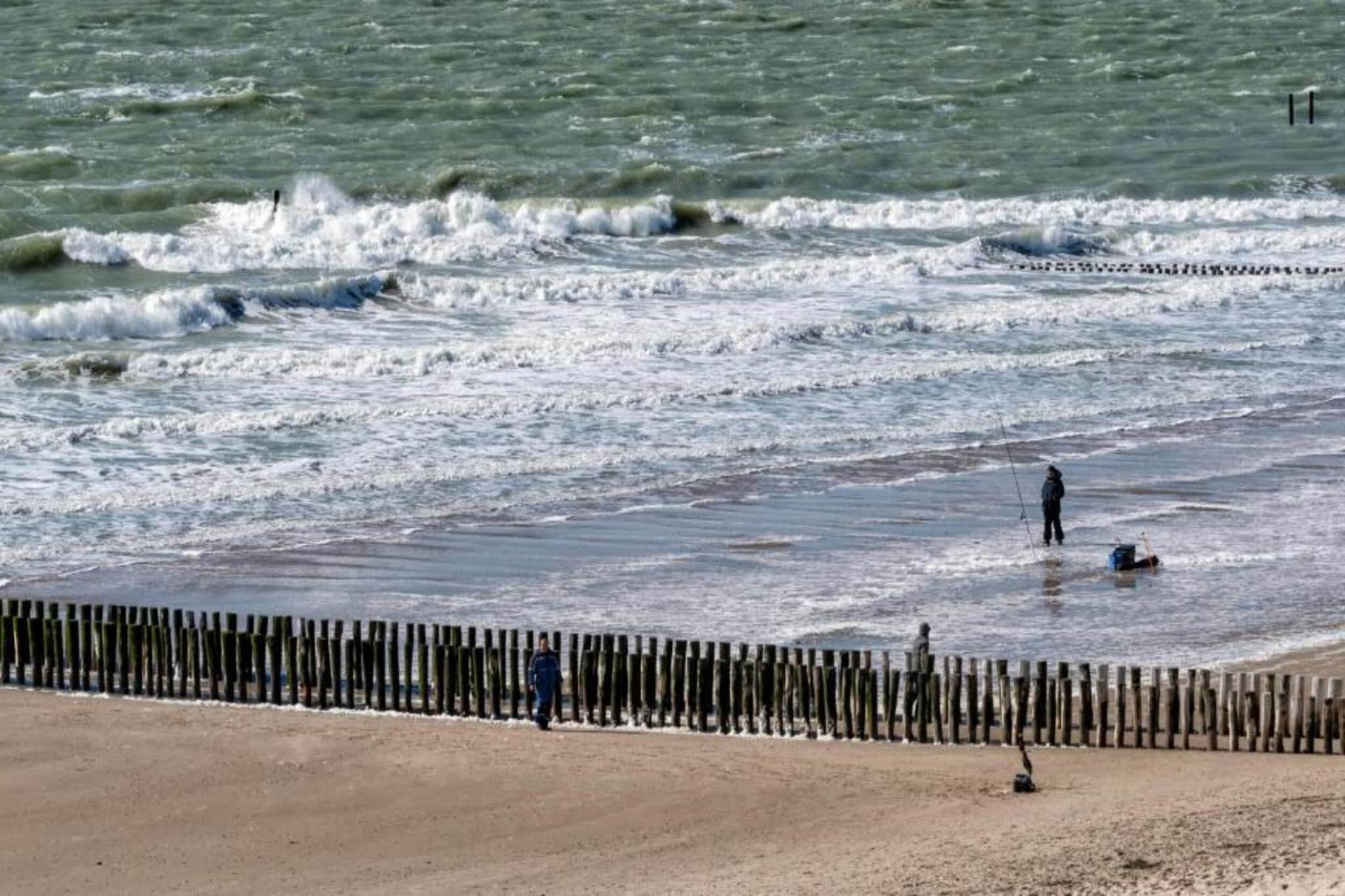 Aparthotel Zoutelande - 4 pers luxe appartement - huisdier-Gebieden zomer 1km