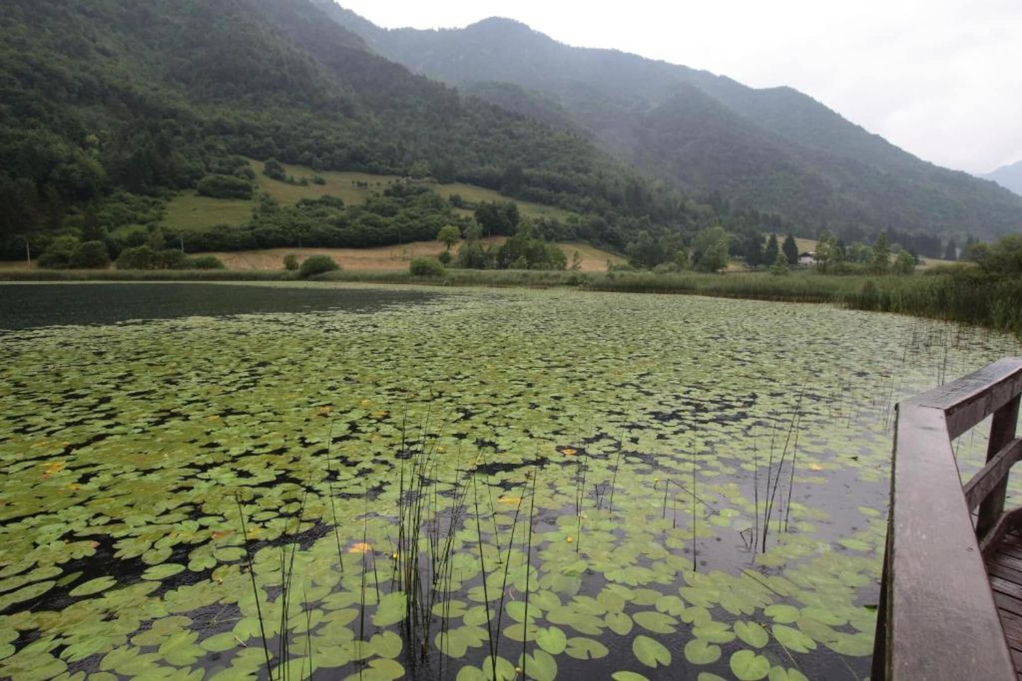 Villa Etti Trilo - Fronte Lago-Gebiete Sommer 1 km