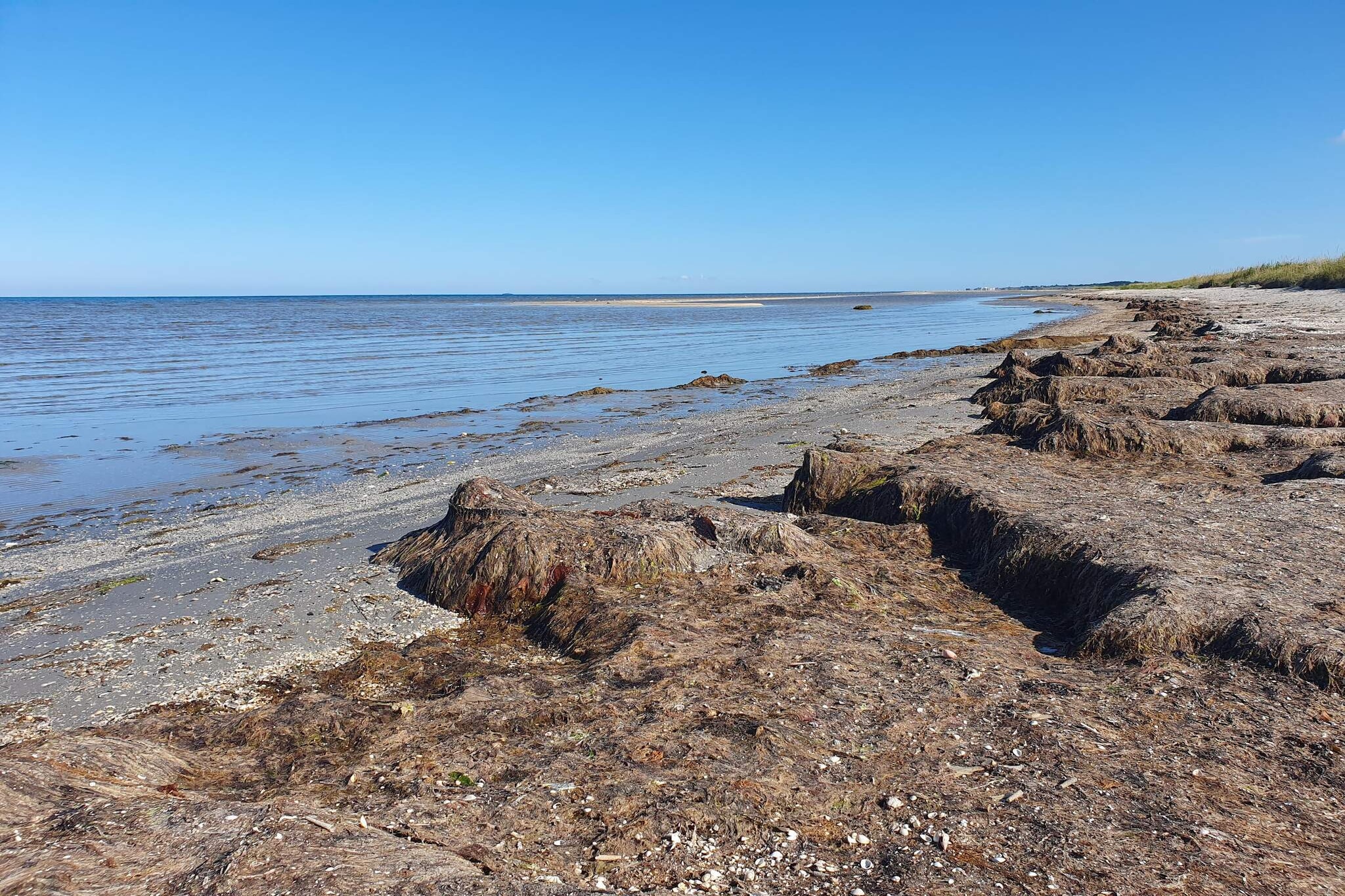 Natuur retraite in albaek -- By Traum Ferienwohnungen-Waterzicht