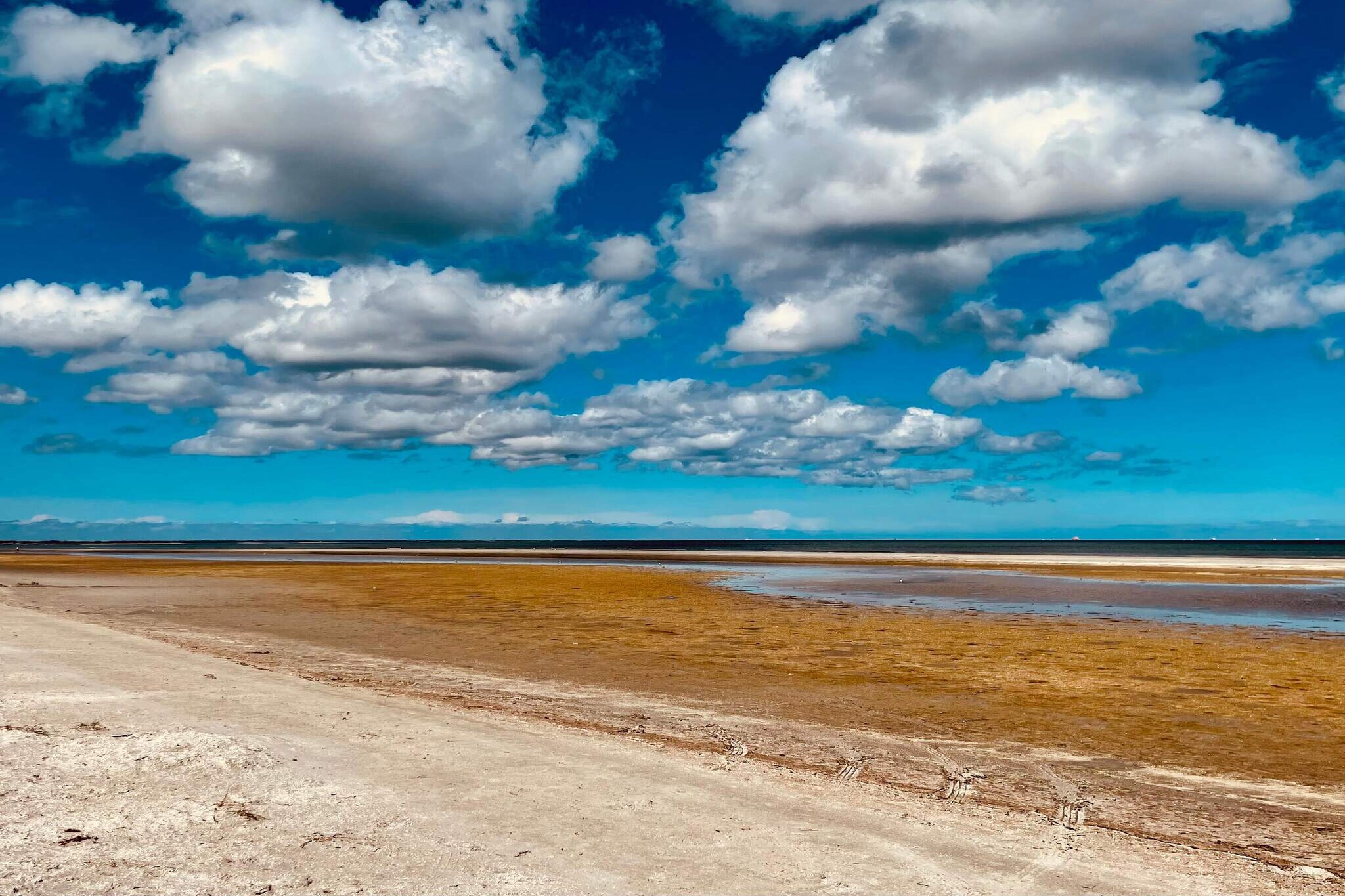 Natuurgebied in Albaek - Waterzicht