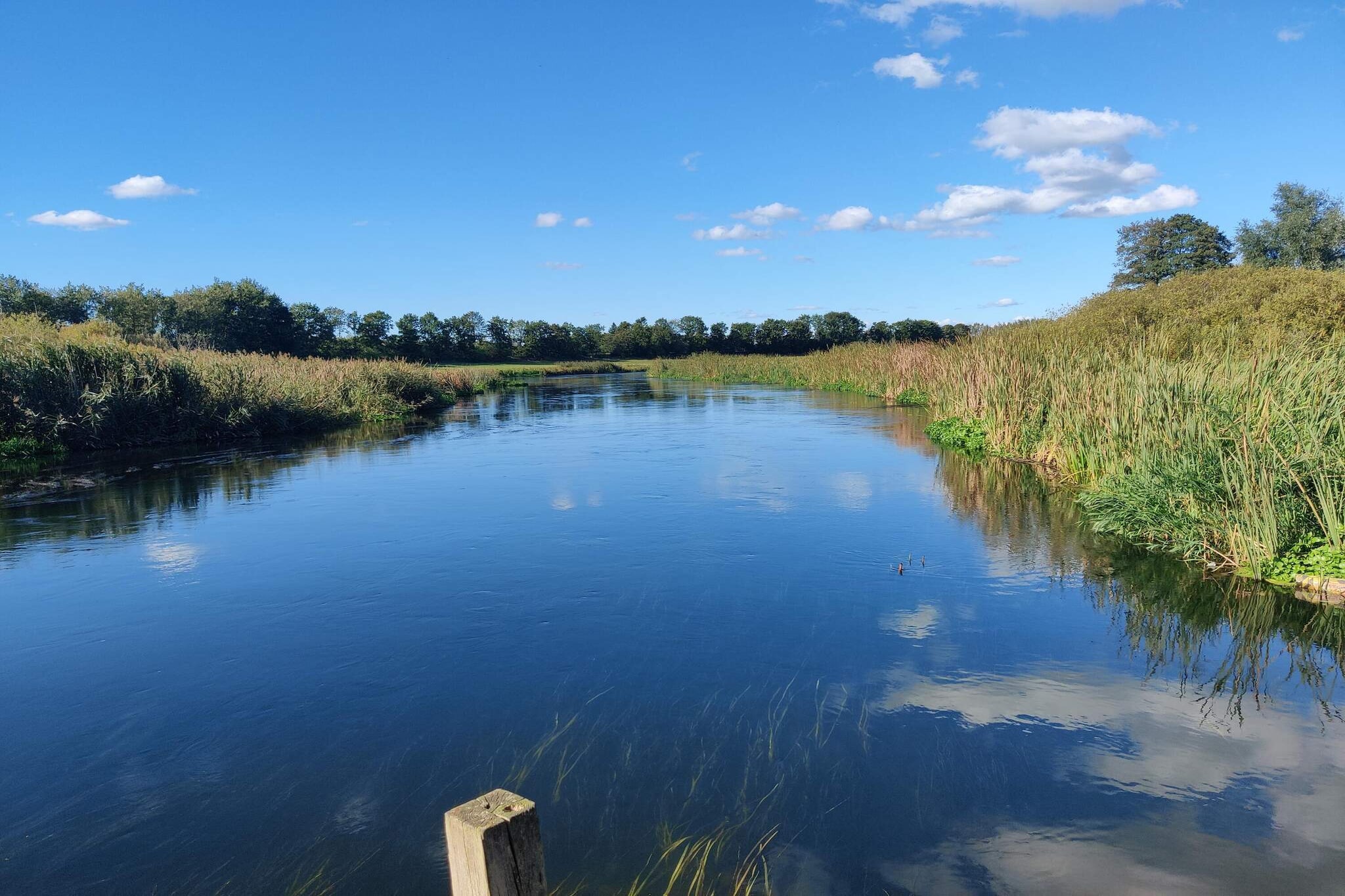 Internet Access DSL, open kitchen(cooker(electric), hood, coffee machine, dishwasher, fridge(+ freezer), freezer(100-139L), washing machine), Living/bed room(TV, high chair), bedroom(double bed, cot), bedroom(single bed, double bed), bathroom(floor heating)(bathtub or shower, washbasin, toilet), carport, heating(electric), terrace, terrace(roofed), garden, BBQ, swimming pool(shared with other guests, outside), fish cleaning table